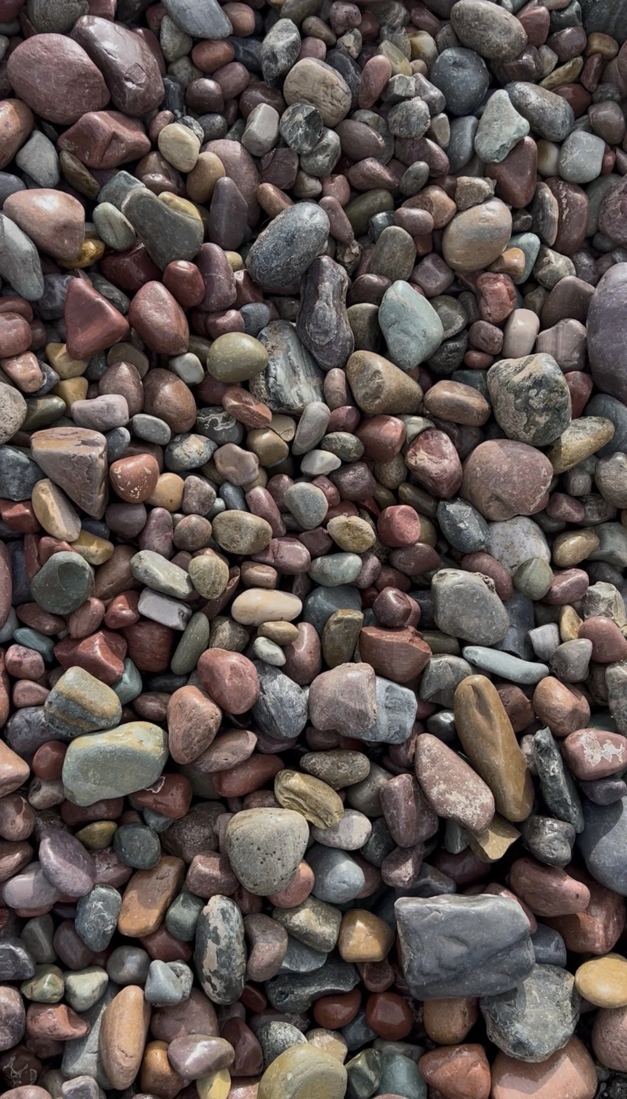 3"–8" Rainbow Rock