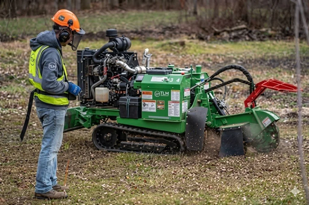 Precision Stump Grinding Service