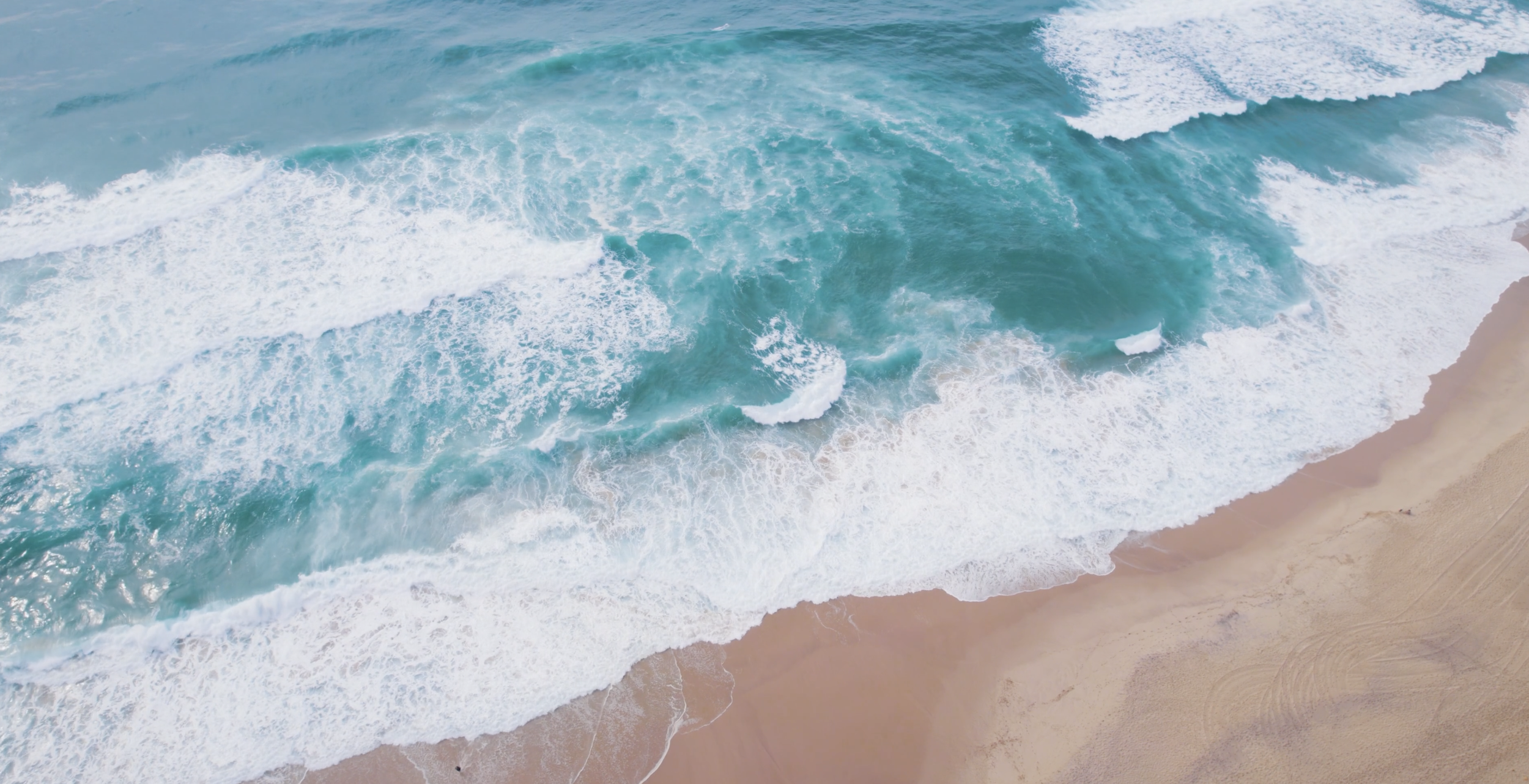 Screenshot 2026-03-14 at 12.46.57 PM.png