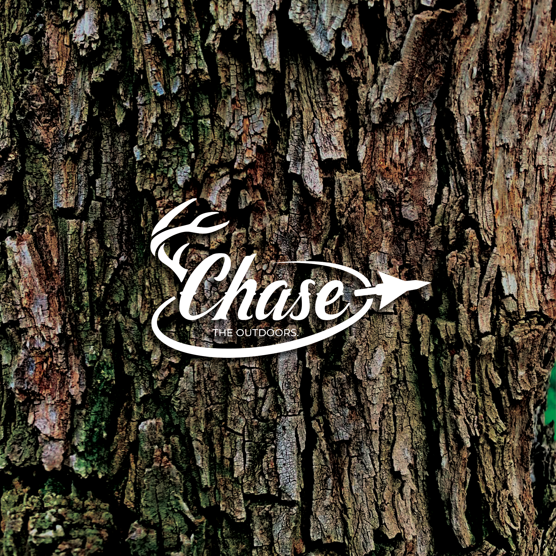 Chase Bark.png