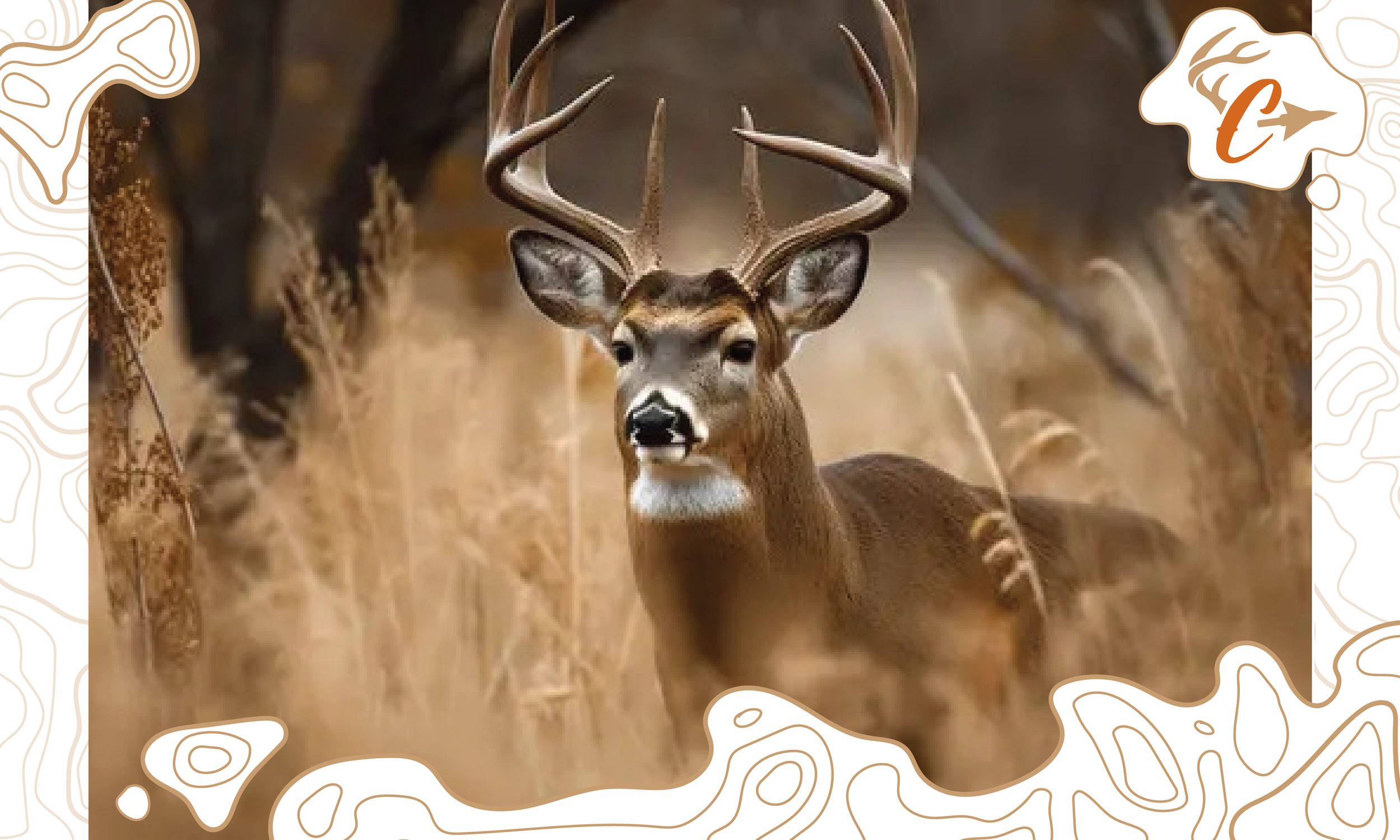 Chase deer frame topographic.png