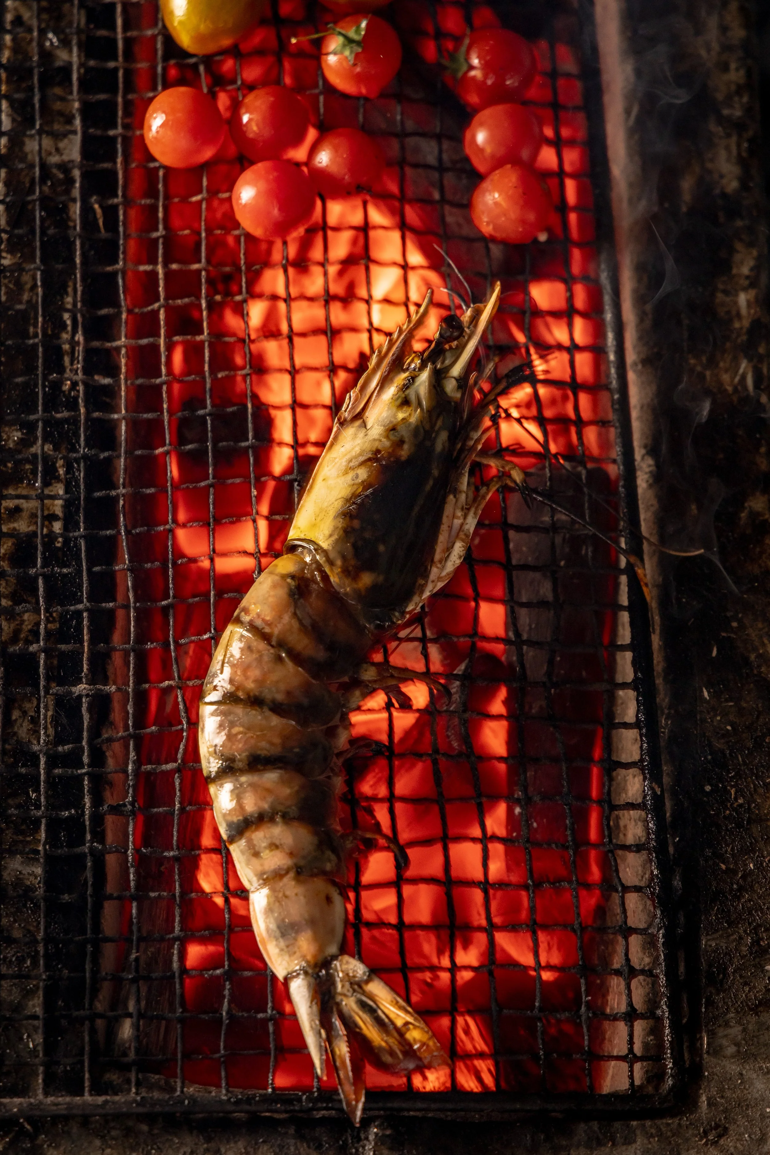 20250823 AARON-2040.jpg