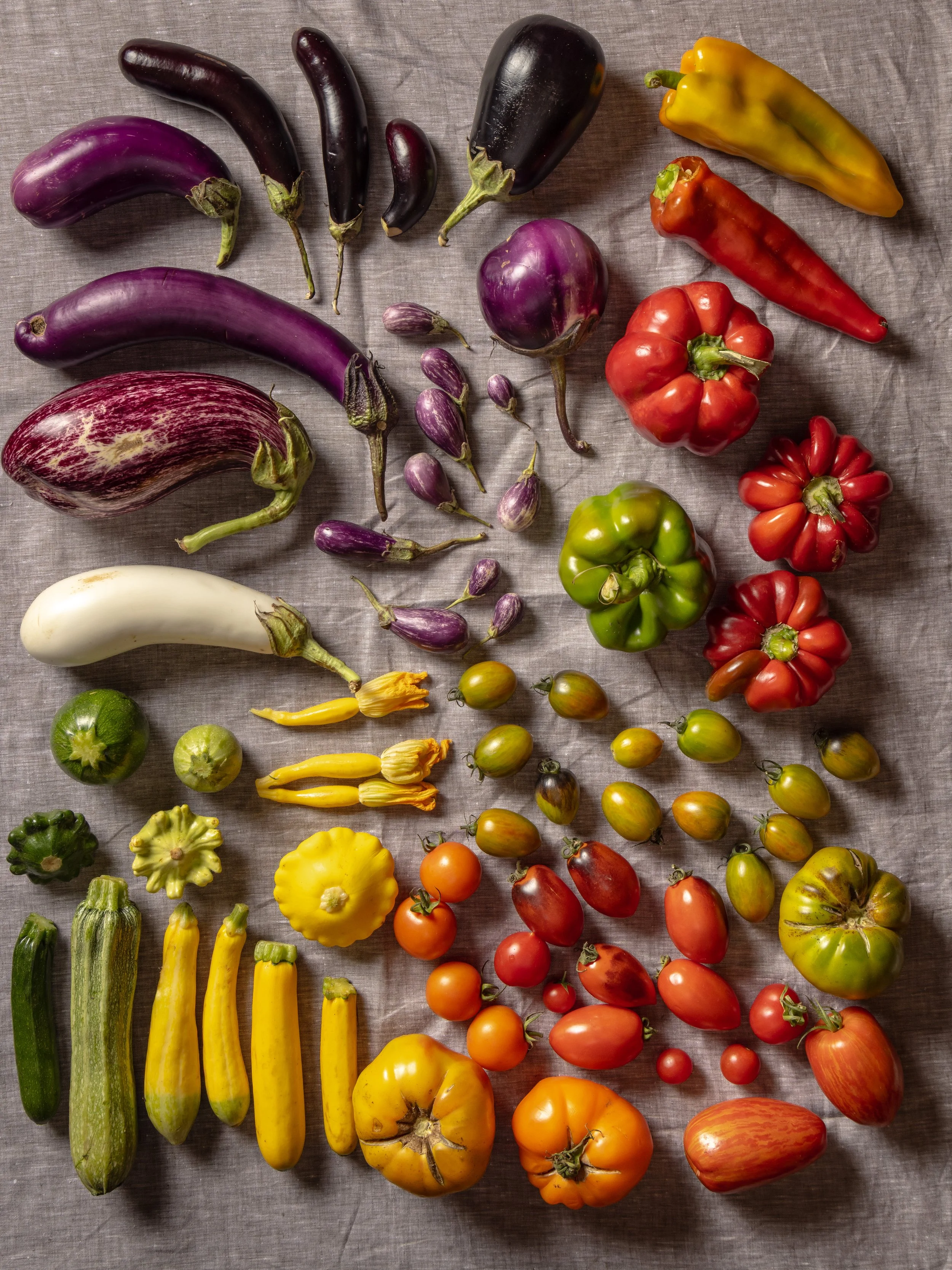 20250823 AARON-1478.jpg