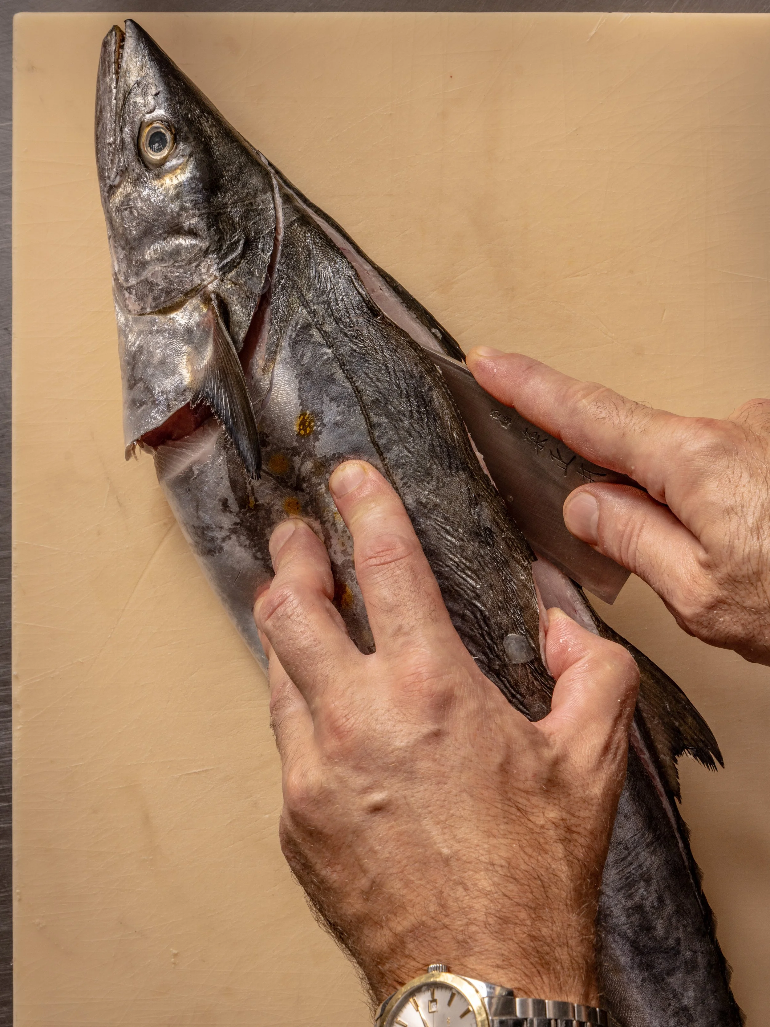 20250823 AARON-1642.jpg