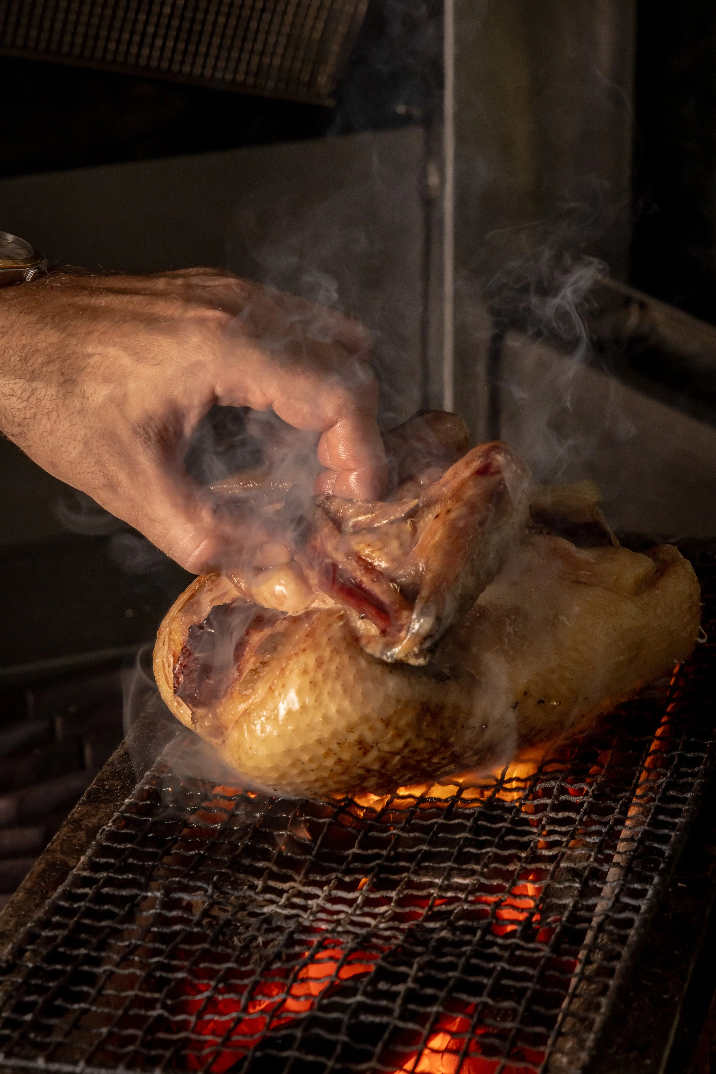 20250823 AARON-1719.jpg