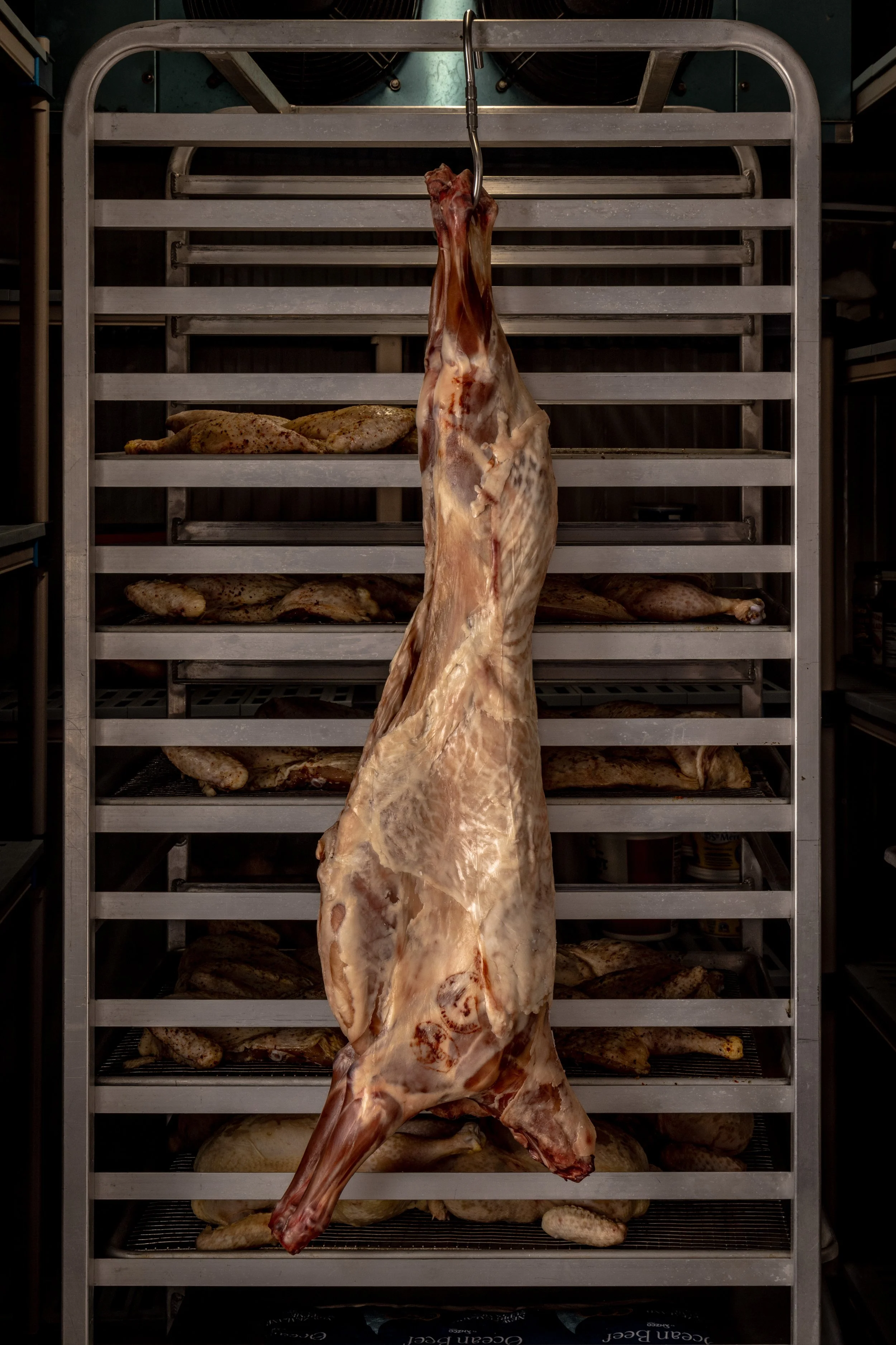 20250823 AARON-1658.jpg