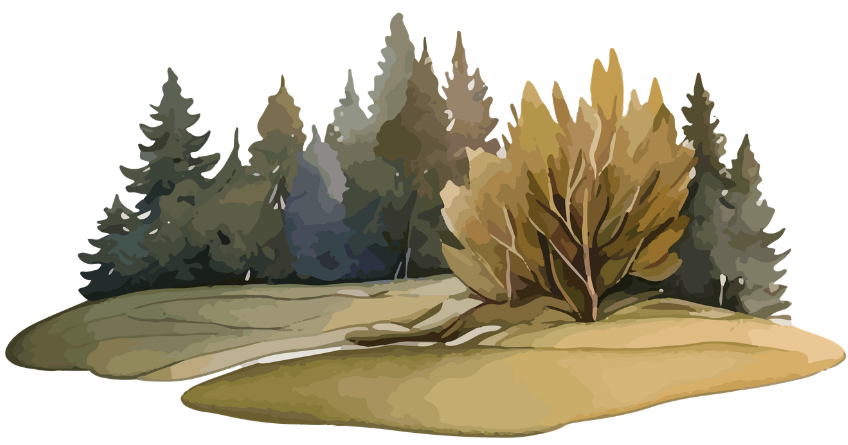 Illustration of trees, including evergreens and a large leafy tree, on a grassy landscape.