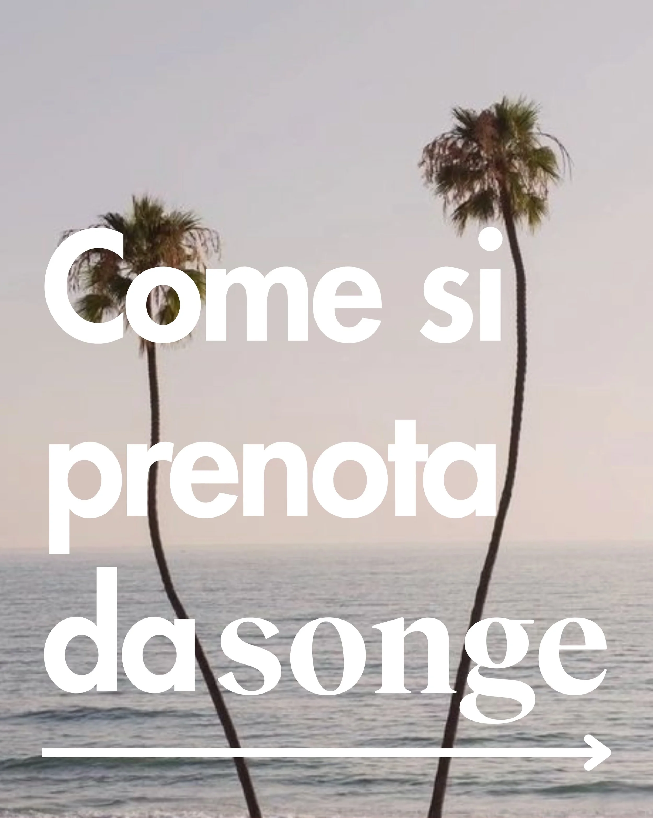 Scopri come prenotare da Songe! 🤍🫧☁️🫶🏼

Sul nostro sito www.songe.it trovi tutti i nostri servizi e i nostri prezzi 💌

#songe #beautyclub #wellnessclub #centroestetico