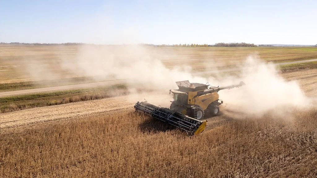 Bean Field Mazergroup (VideoProduction)(Event)(Branding)