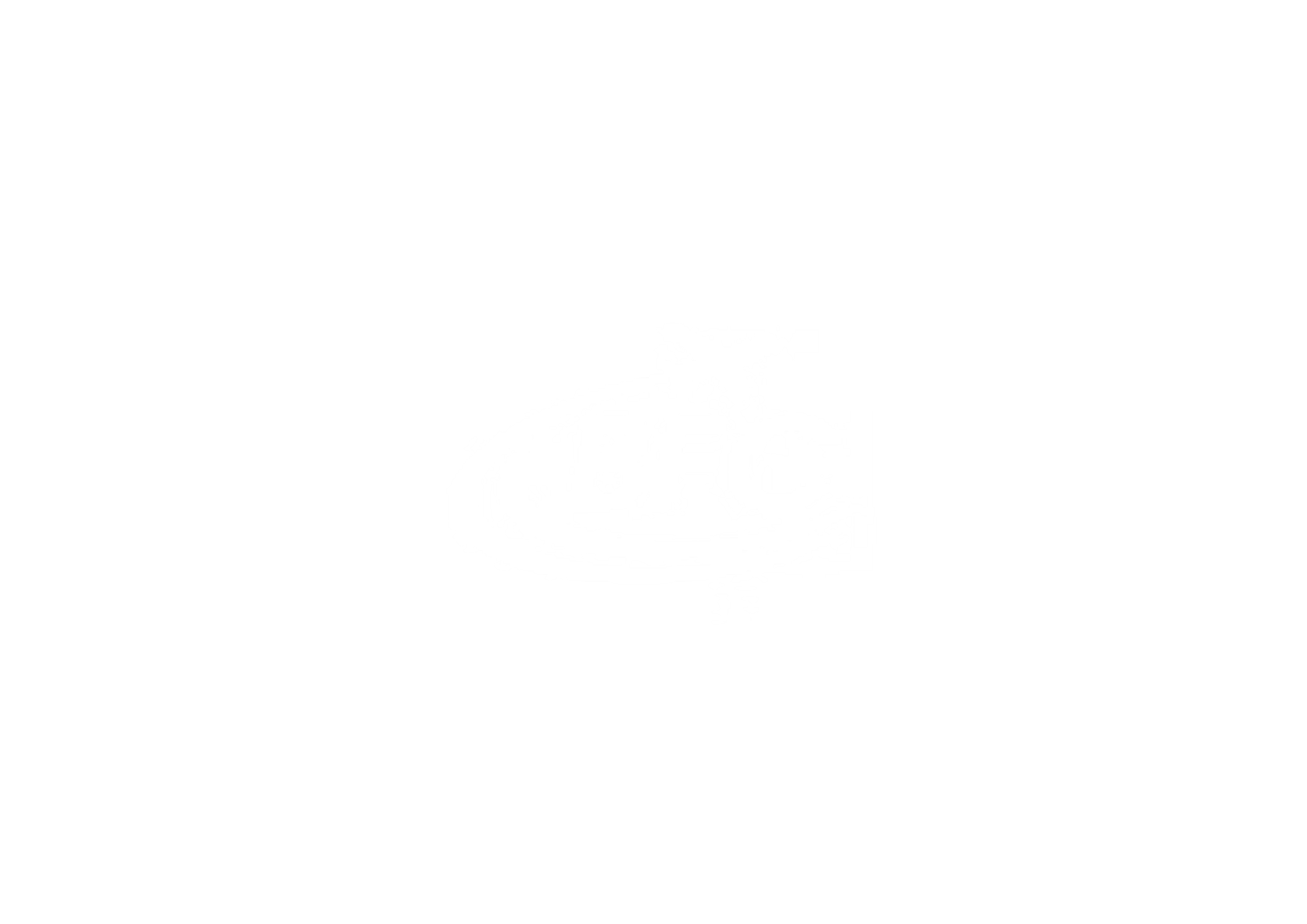 20.png
