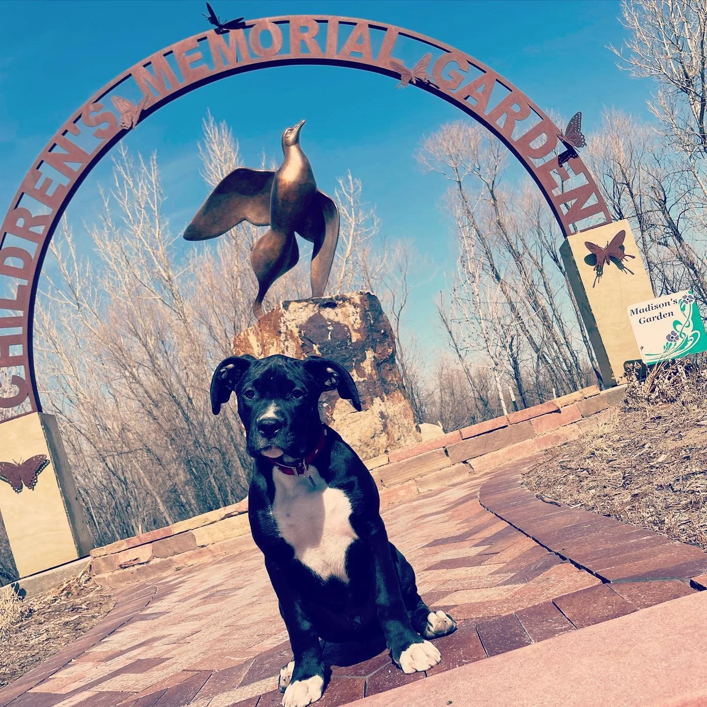 Some of you might have heard it through the grapevine already so, I thought I&rsquo;d get ahead of it!! I was just released from a few days of a voluntary hold at @wyomingbehavioral  and to clear up some quick questions: Yes, I&rsquo;m alright. I&rsq