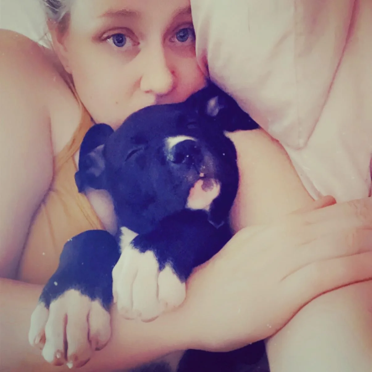 Puppy 🐶 #puppy #dogsofinstagram