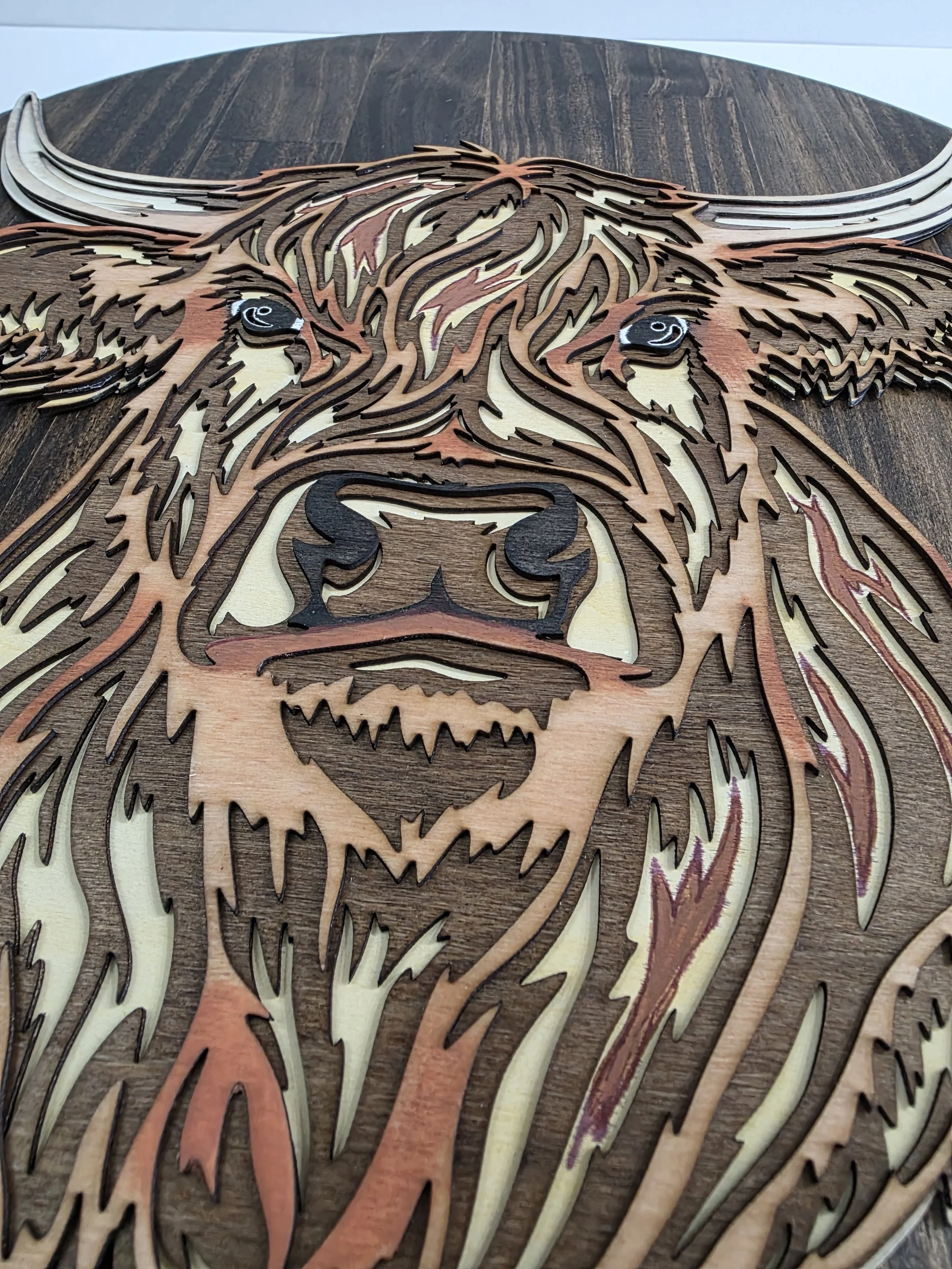 20260311_122432.jpg (Copy)