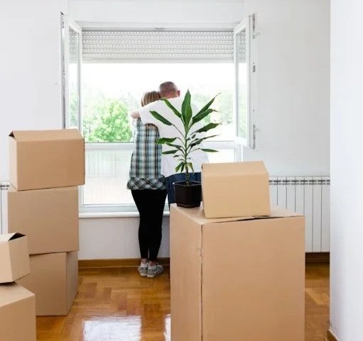 Two people looking out of a window in a room with several cardboard boxes and a potted plant.