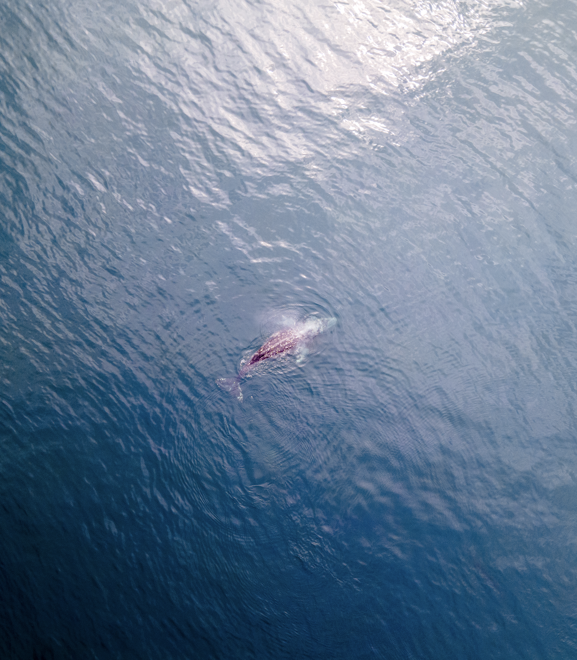 3/4 Day - $1,500 (6hrs)