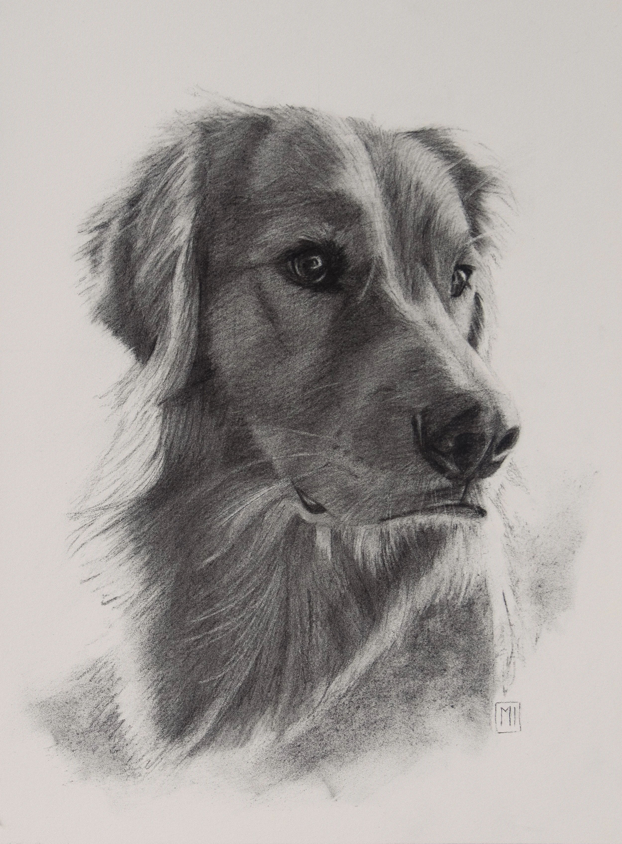 "Goose" 9"x12" Charcoal on paper. Sold.