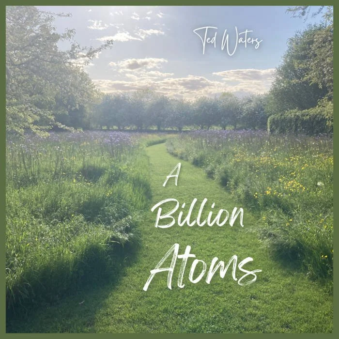 A Billion Atoms