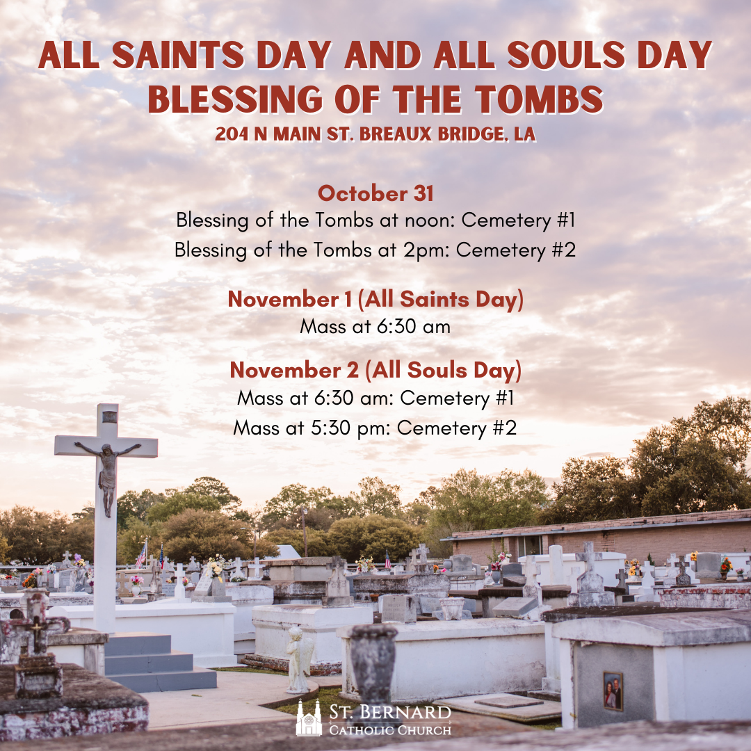 November Graphics-2.png