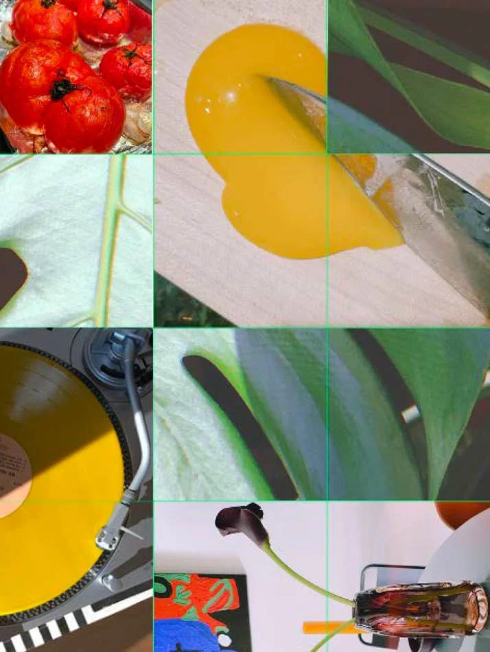 Art Direction: Skin Contact by Naima Green