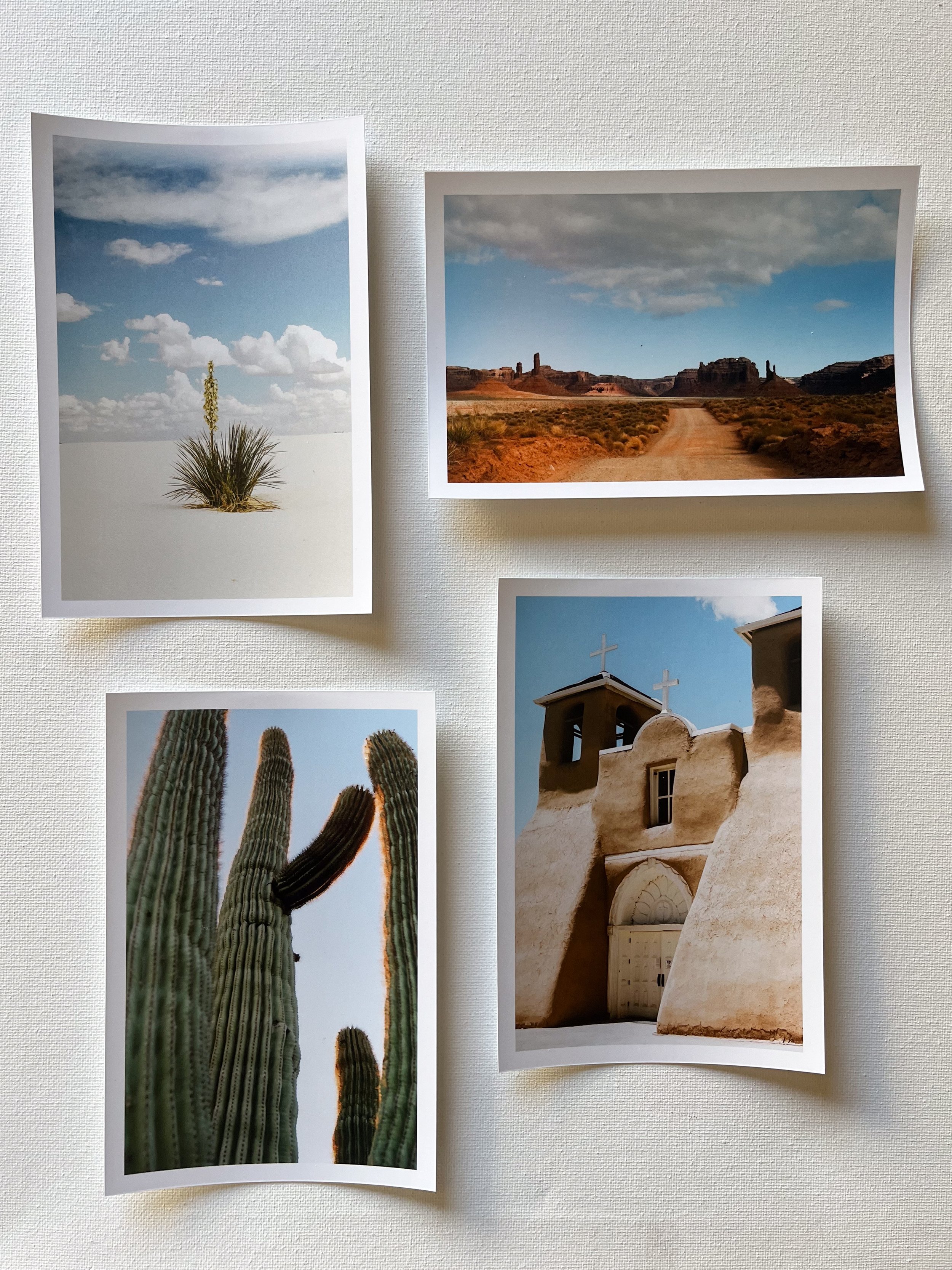 The Desert Film Collection (Set of 4)