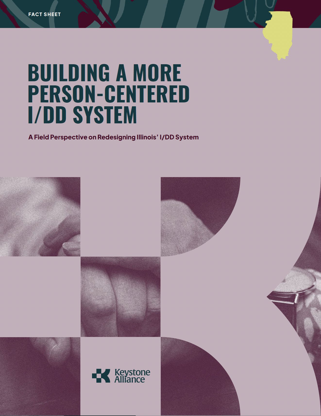 cover of Illinois I/DD System Redesign Fact Sheet