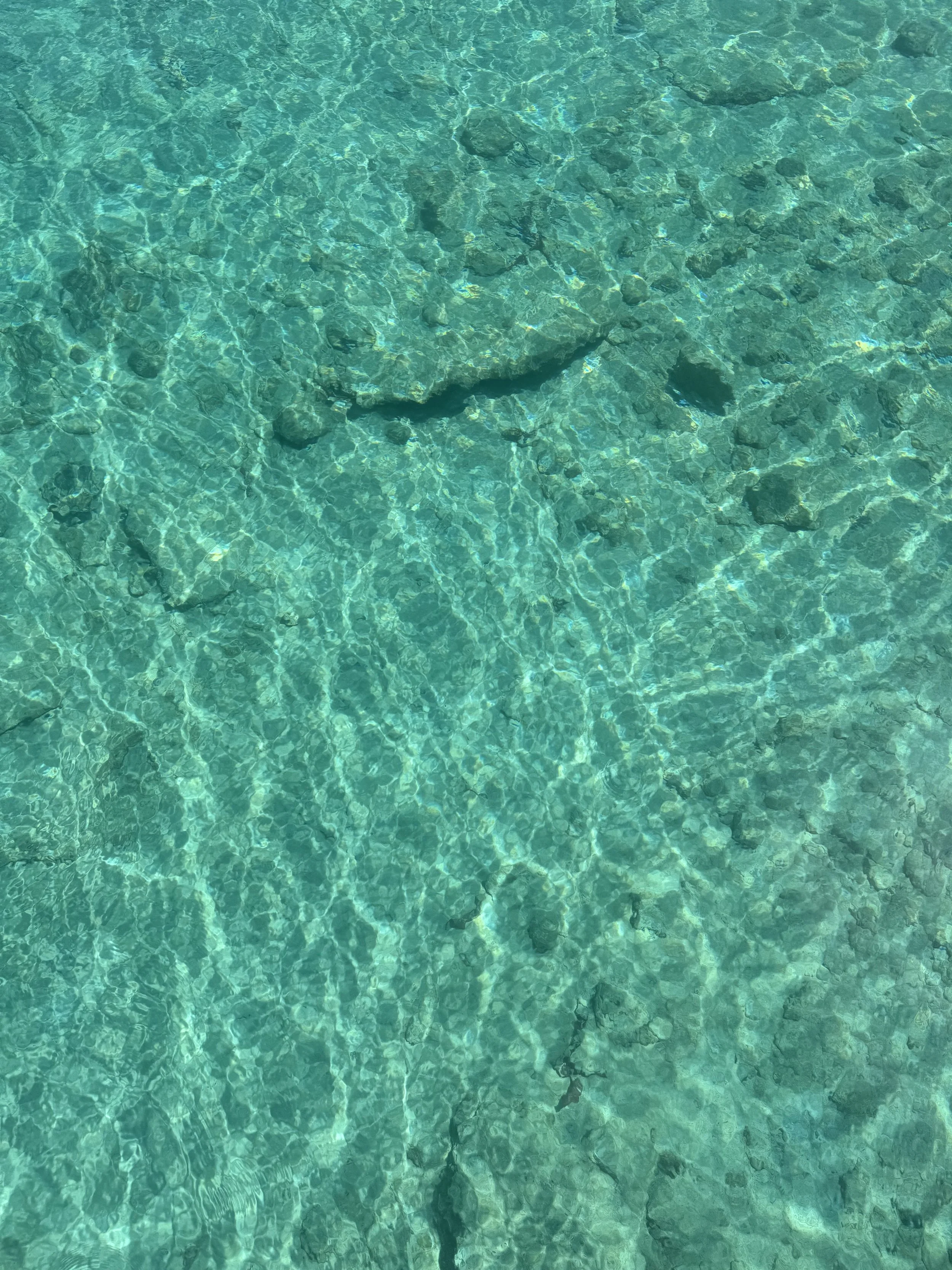 Clear turquoise water with visible rocks and a shark swimming near the surface.