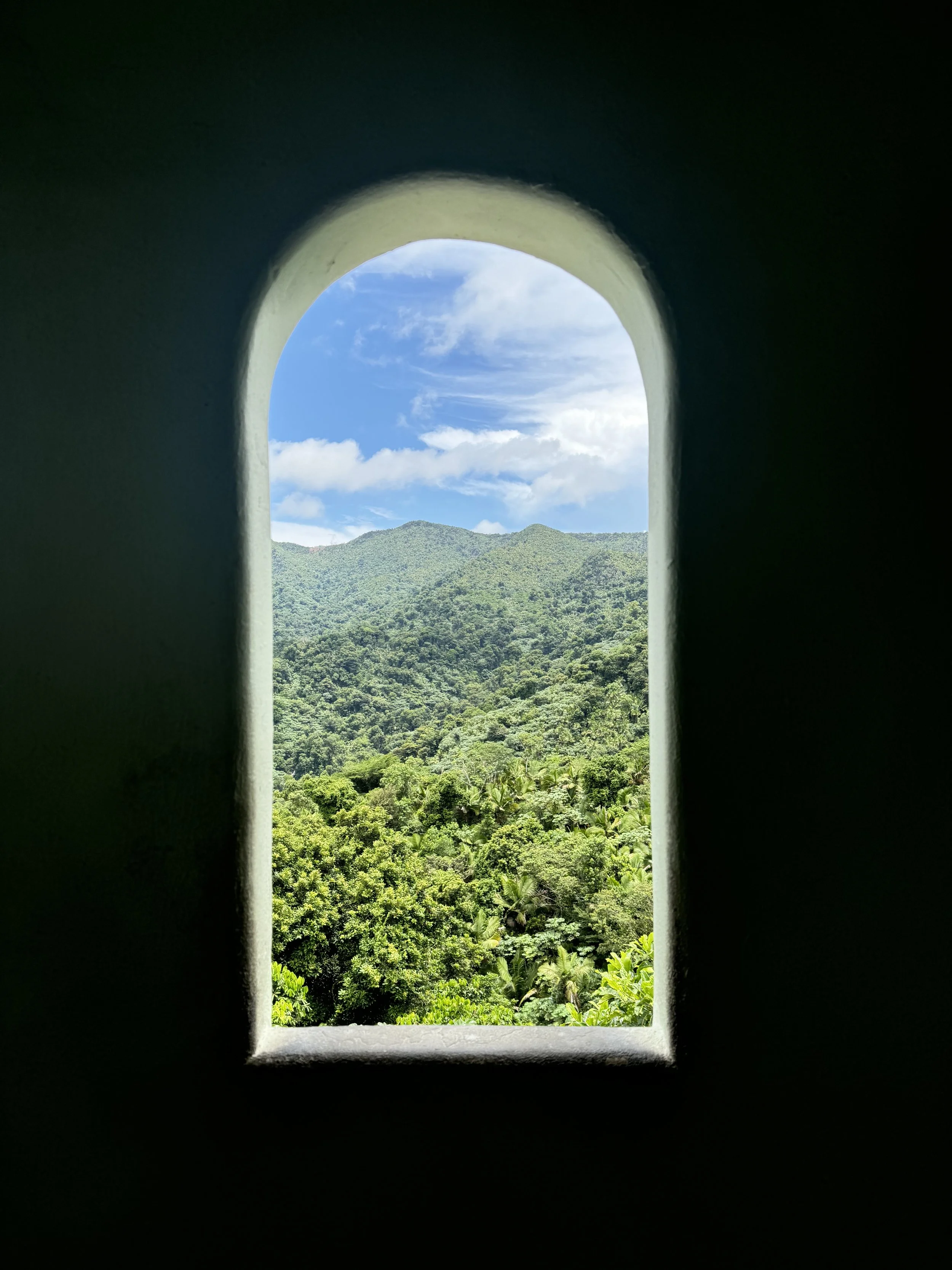 View of green forested mountains and a partly cloudy sky through an arched window.