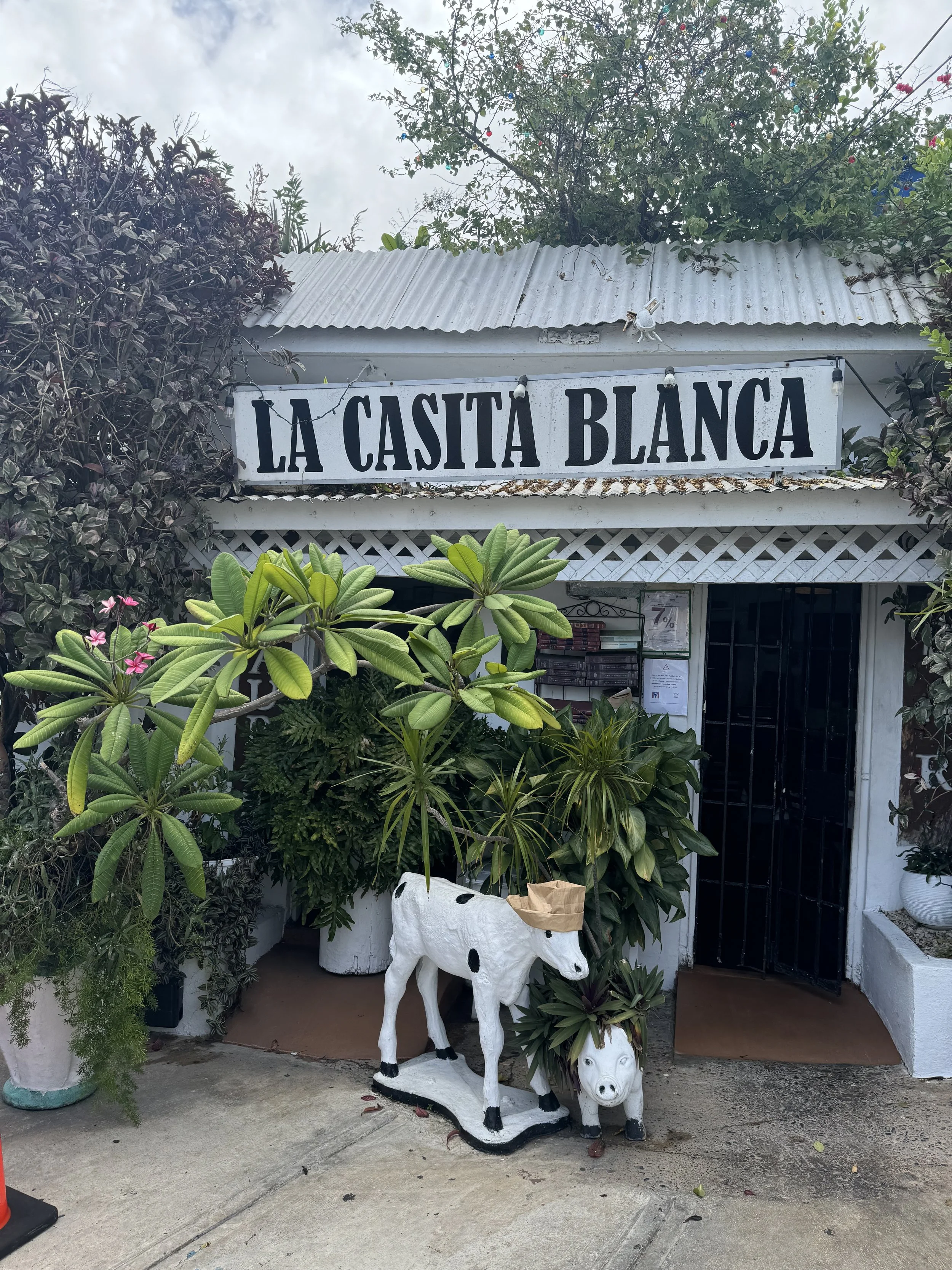 Front entrance of La Casita Blanca with lush greenery, including potted plants and a small tree, a decorative wooden donkey and a pig sculpture, and a black gate.