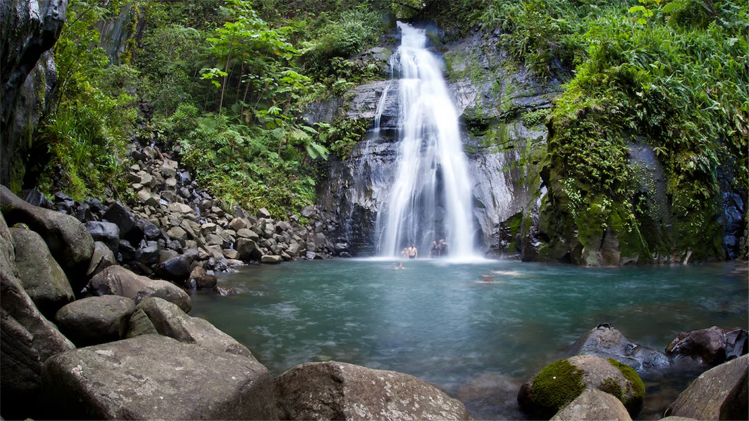 A waterfall flowing into a pool surrounded by rocks and lush green jungle vegetation.