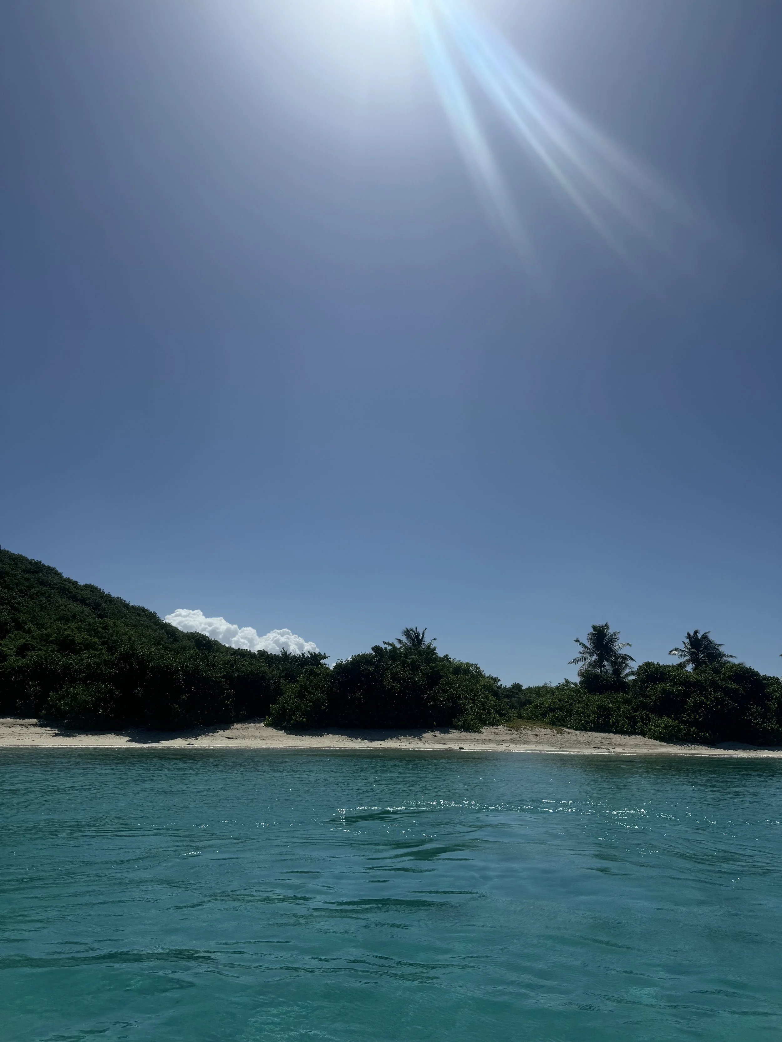 Tropical beach with clear turquoise water, lush green trees, and palm trees under a bright sunny sky.