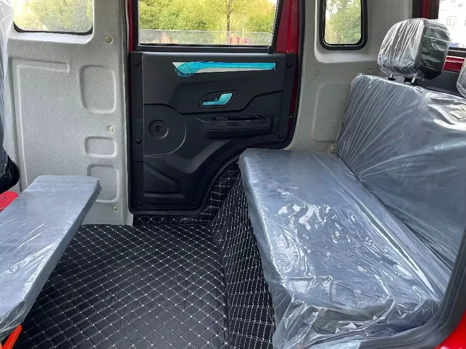 Taxi pedicab backseat