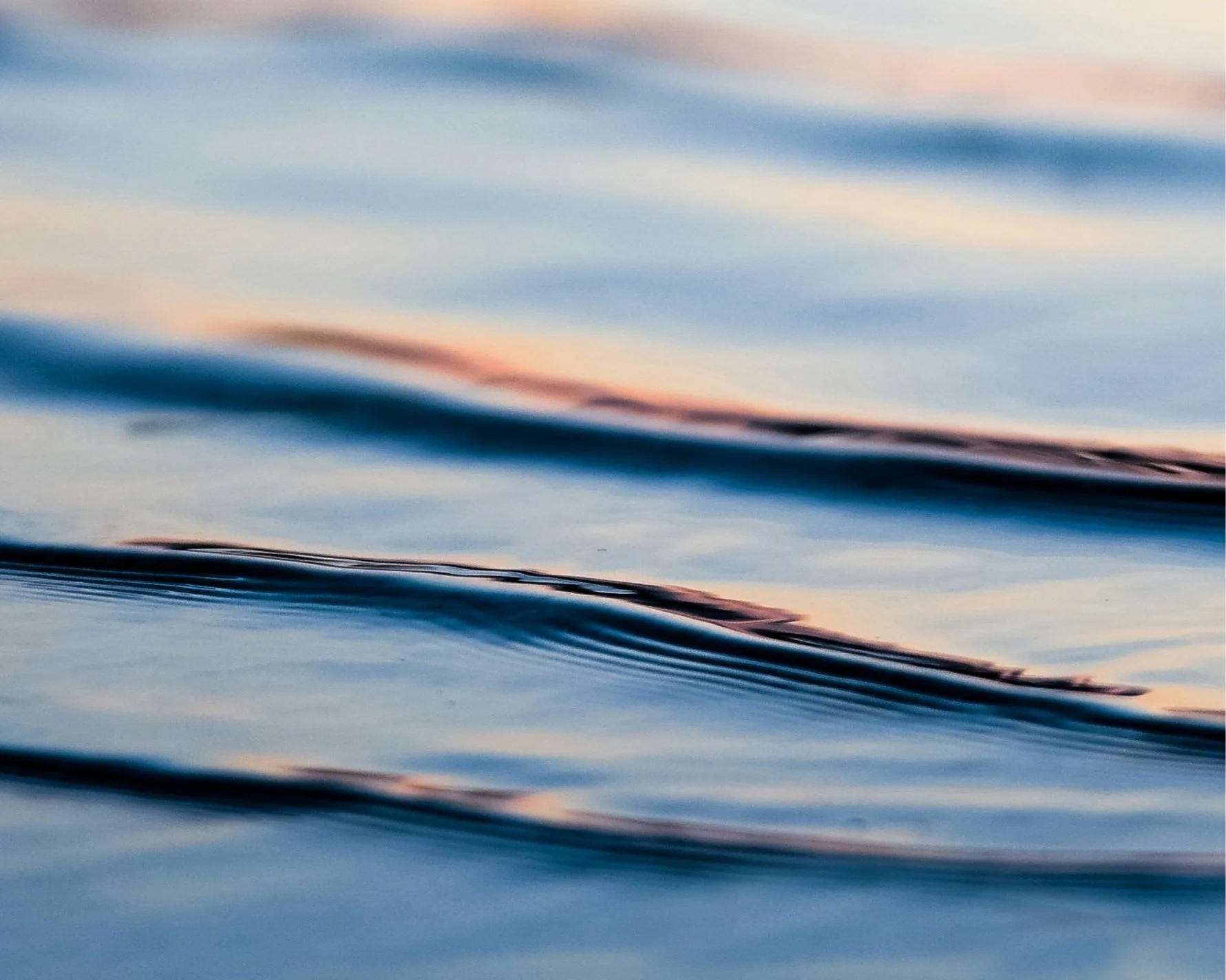 Cultivating Peace in the Face of Hate