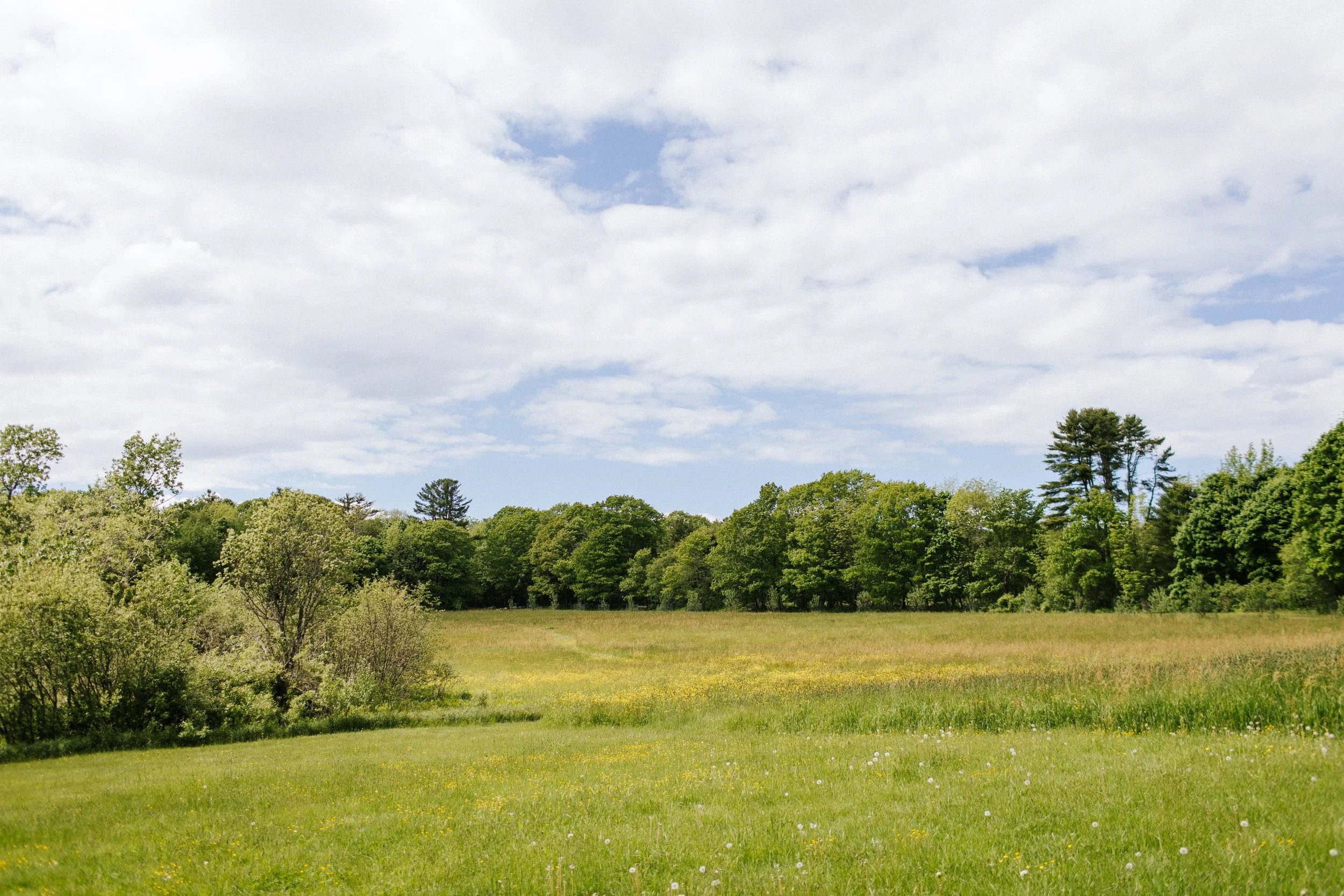 How to Deal With Your Annoying Coworker