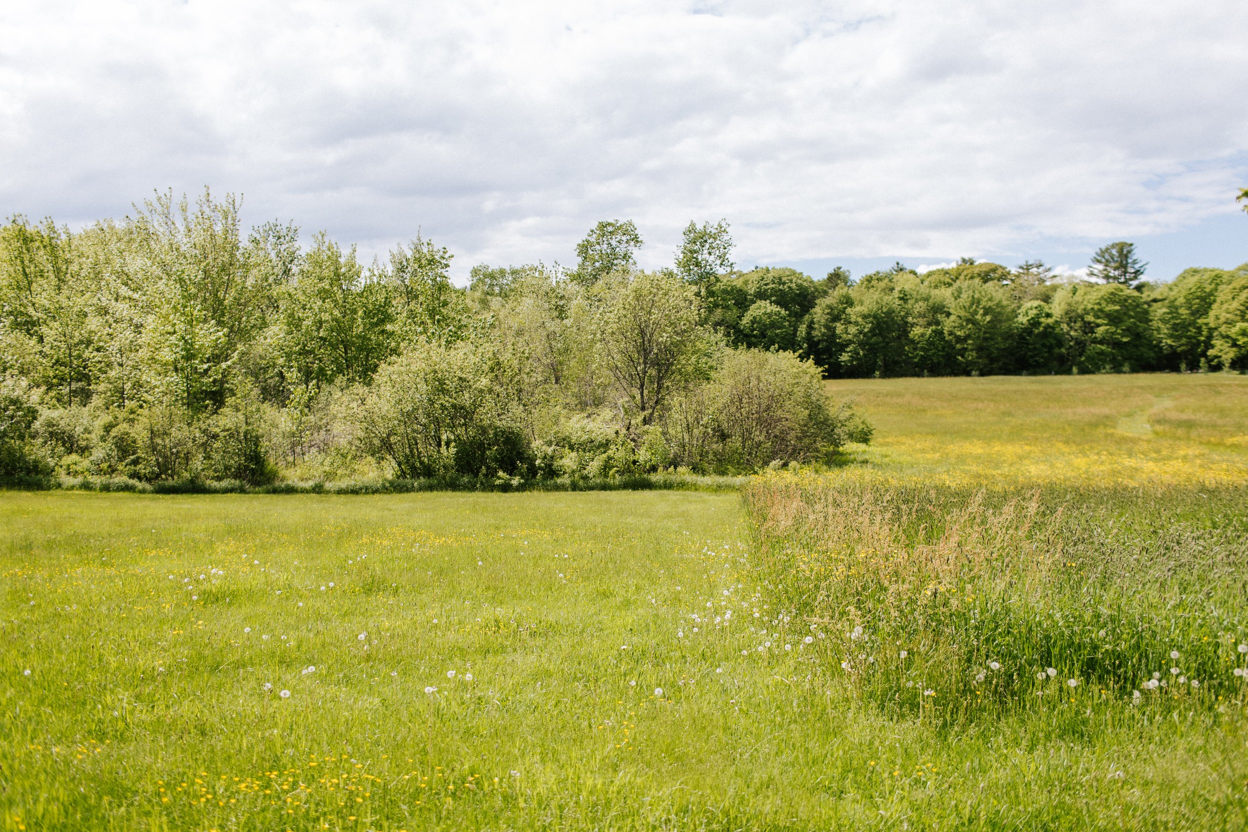 Political Navigation at Work