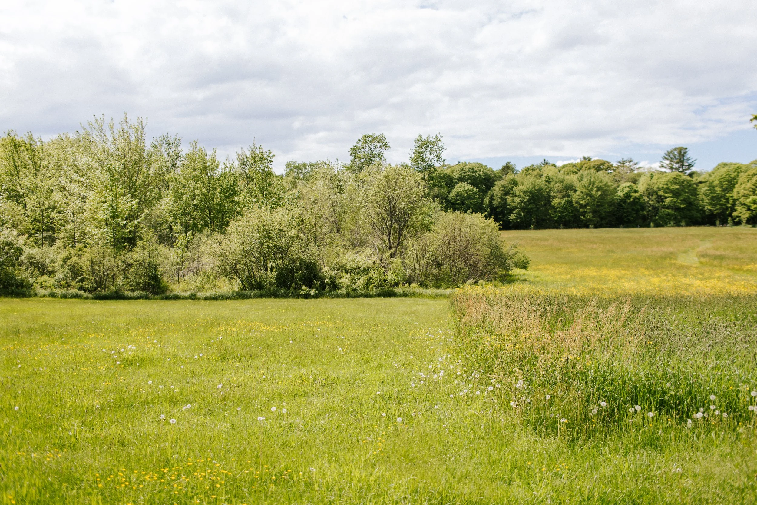 Political Navigation at Work