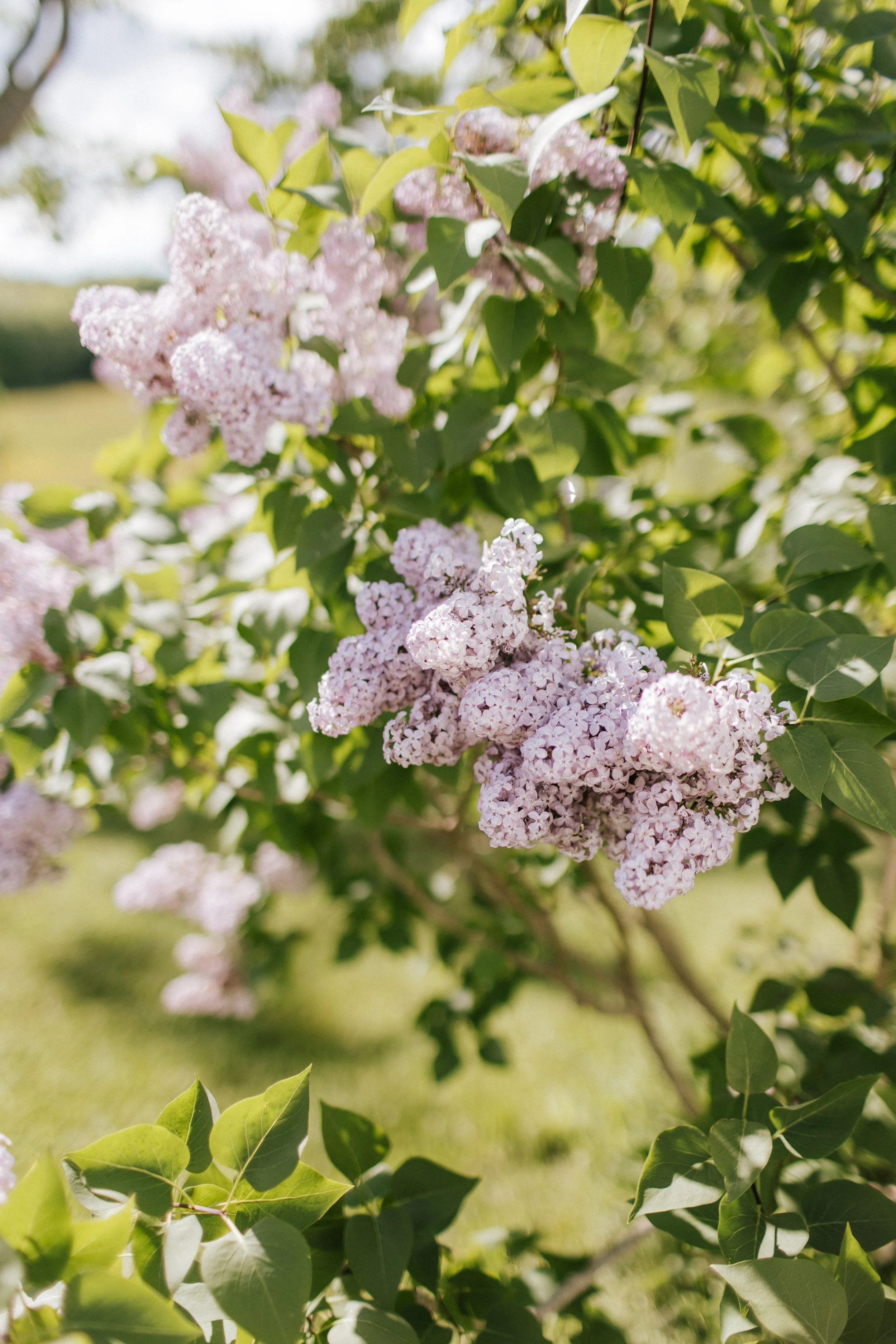 The Art of Influencing