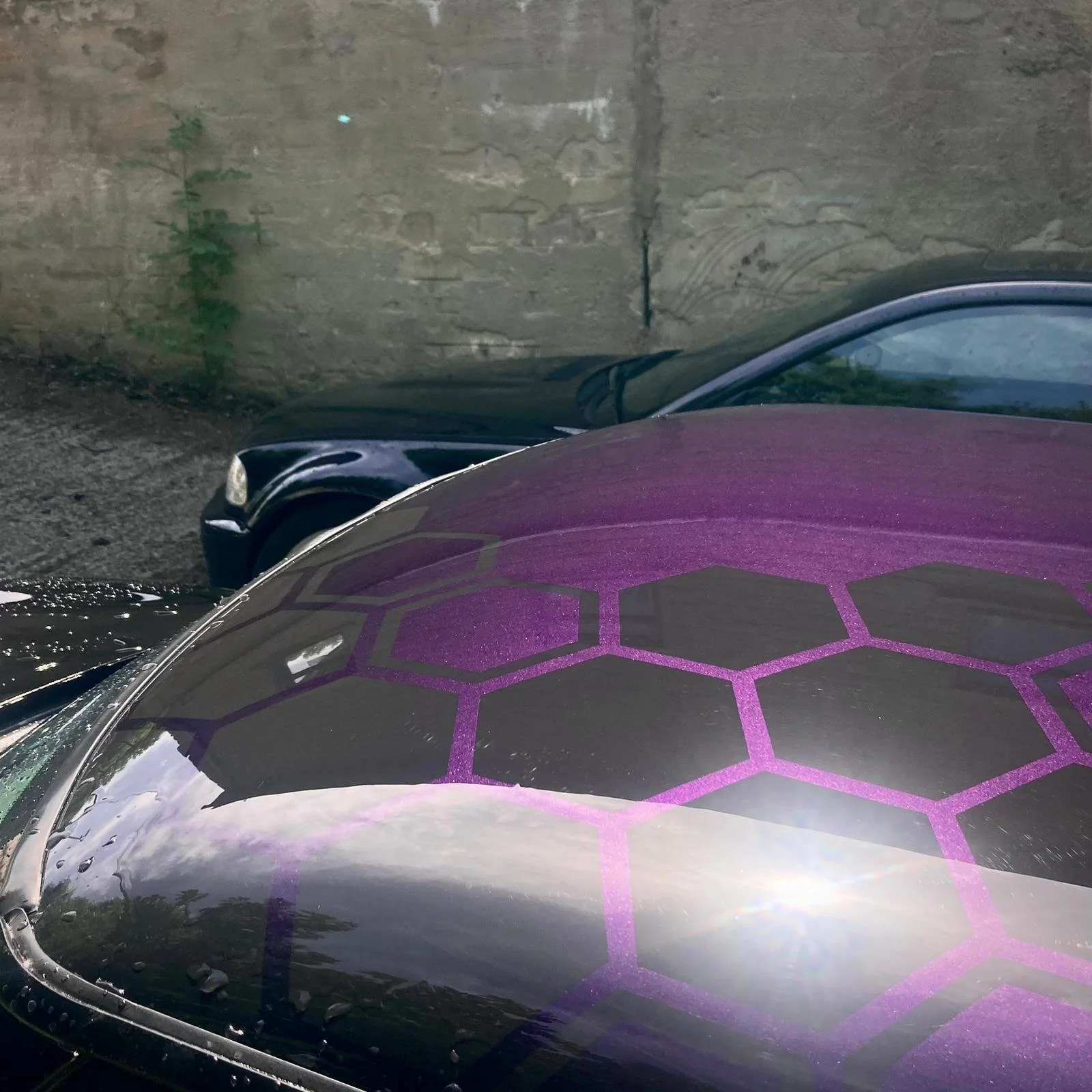 WhatsApp Image 2026-03-09 at 23.05.14.jpeg