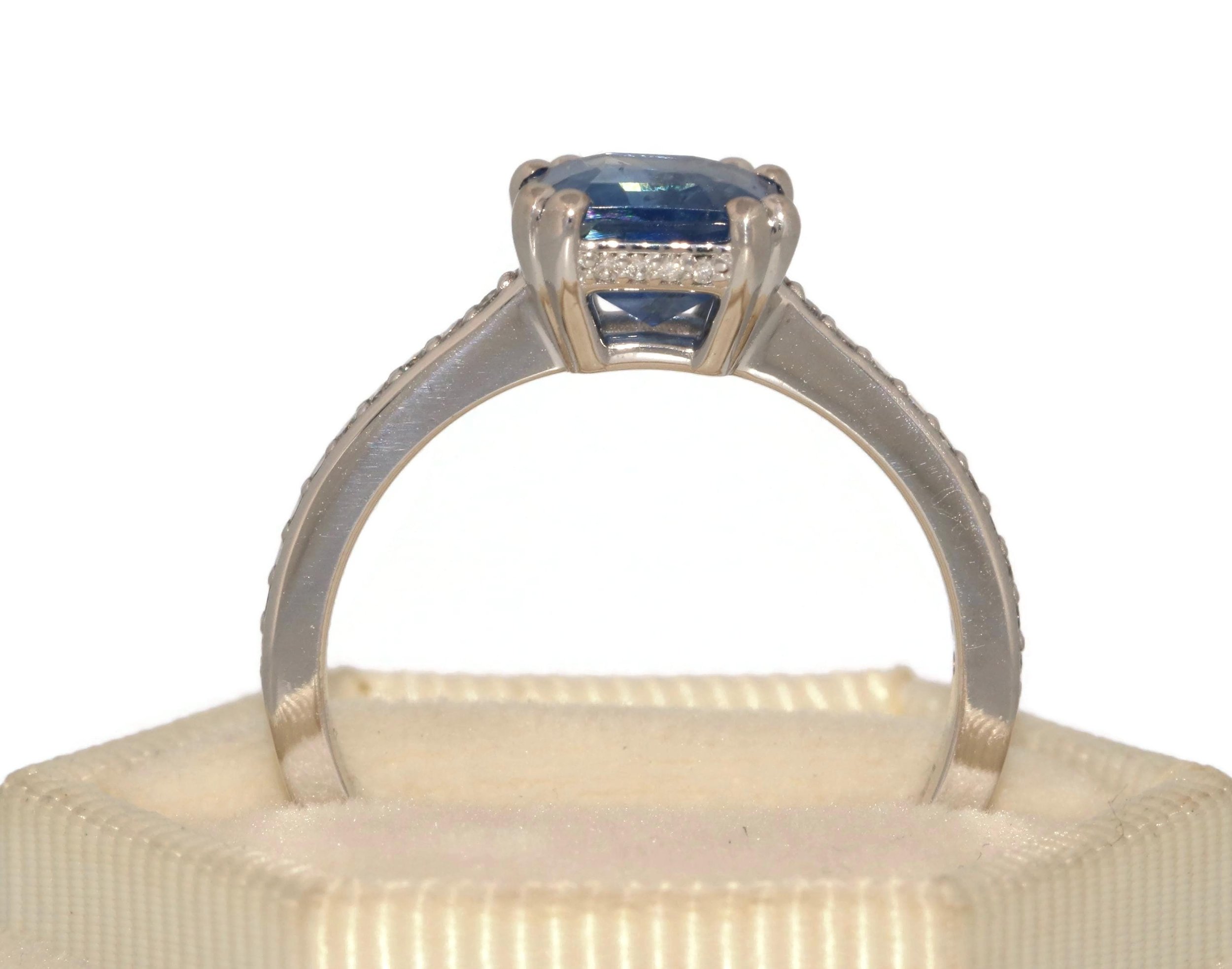 image_9.jpg