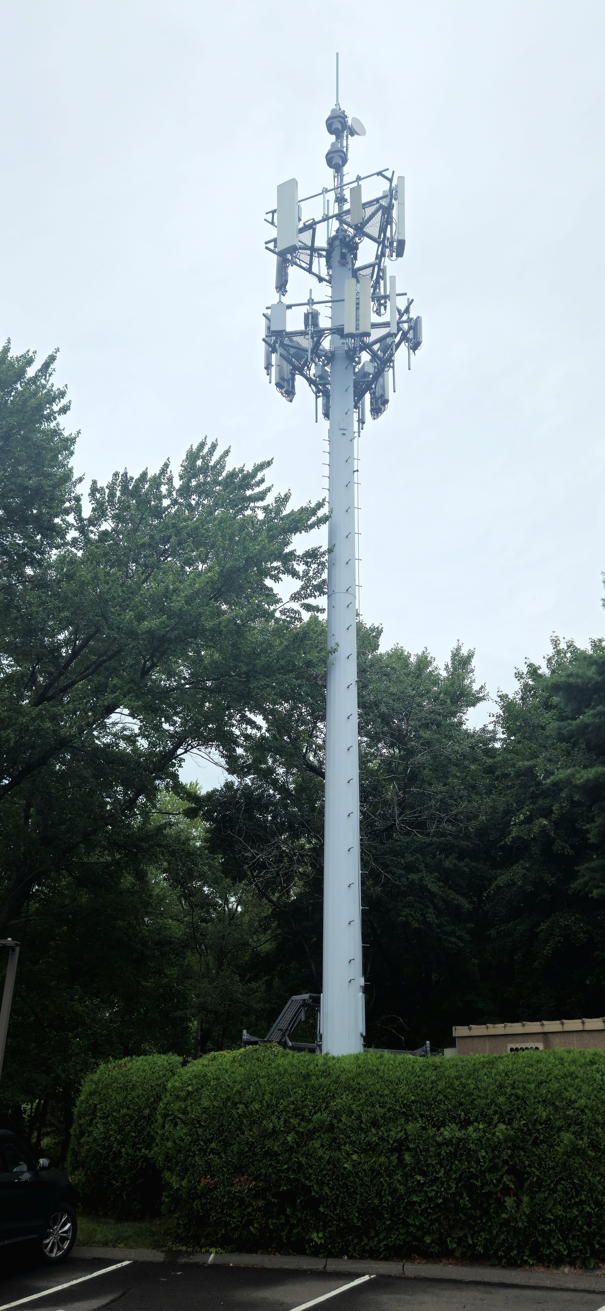 A tall metal telecommunications tower with multiple antennas and dishes, situated behind green bushes and trees in a parking lot.