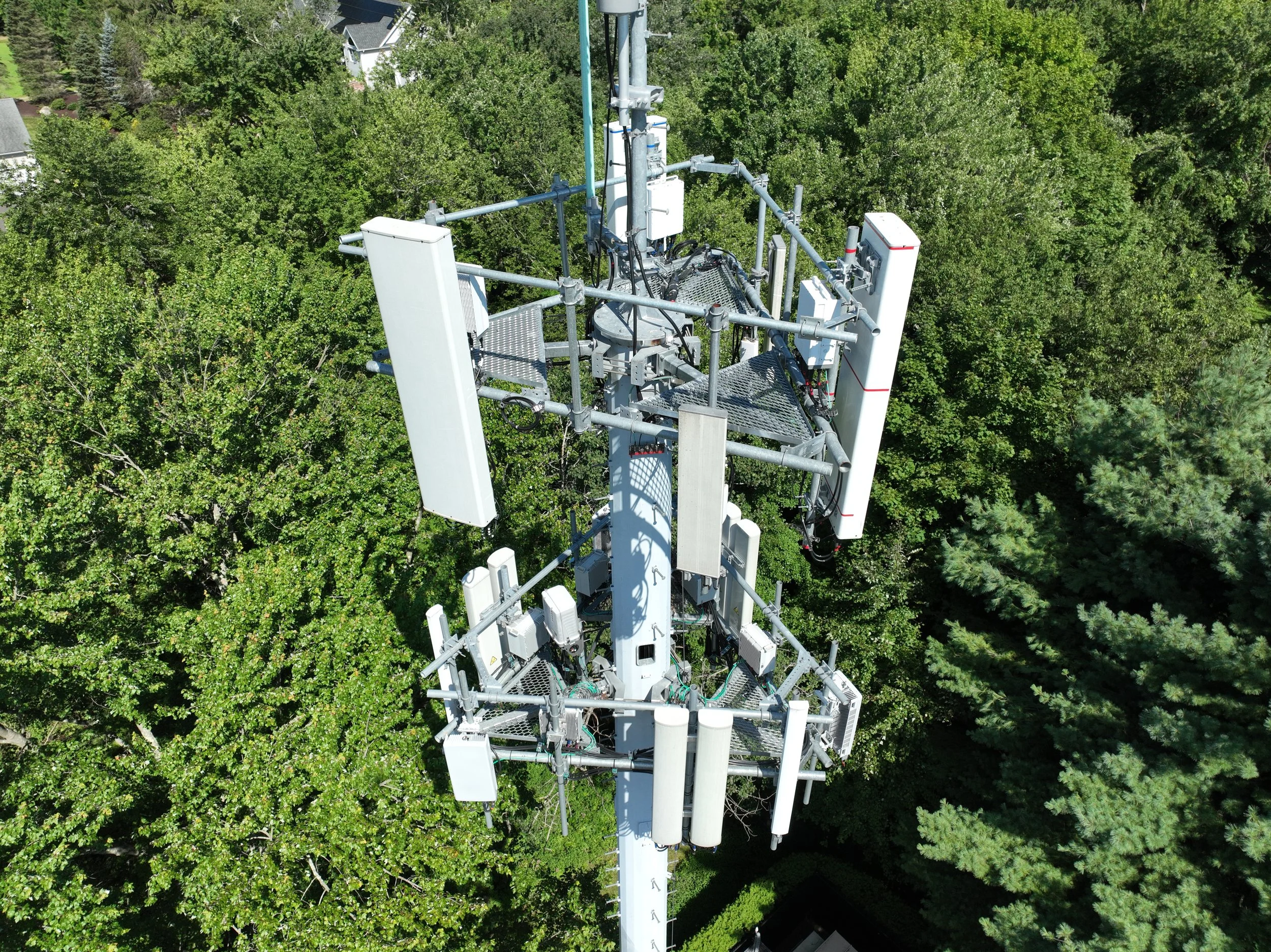 A cell phone tower with multiple antennas is situated among dense green trees in a forested area.