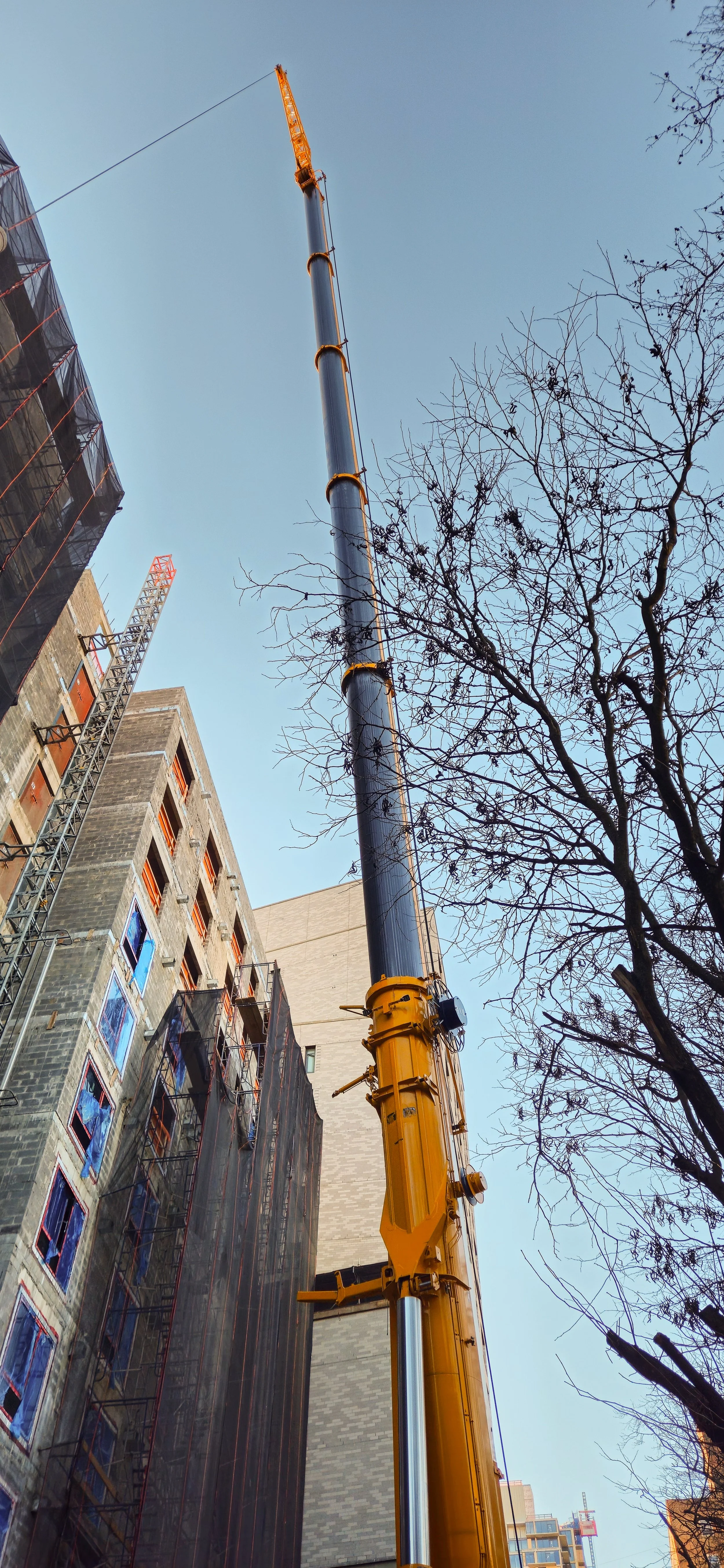 A construction crane extending high into the sky next to partially constructed buildings and a leafless tree.