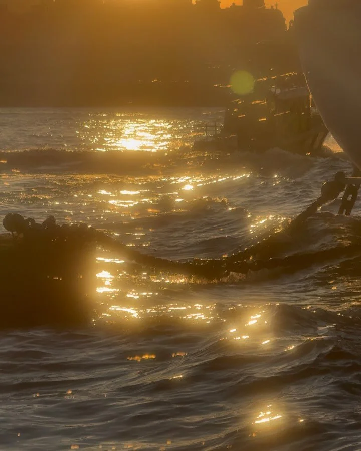 Just like that, spring