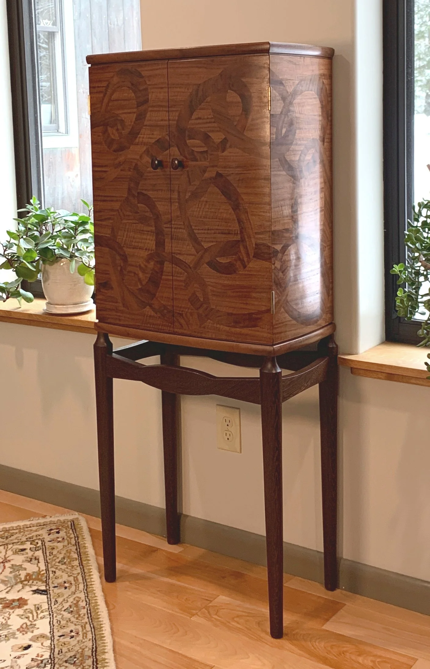 Ring Cabinet at Home.JPEG