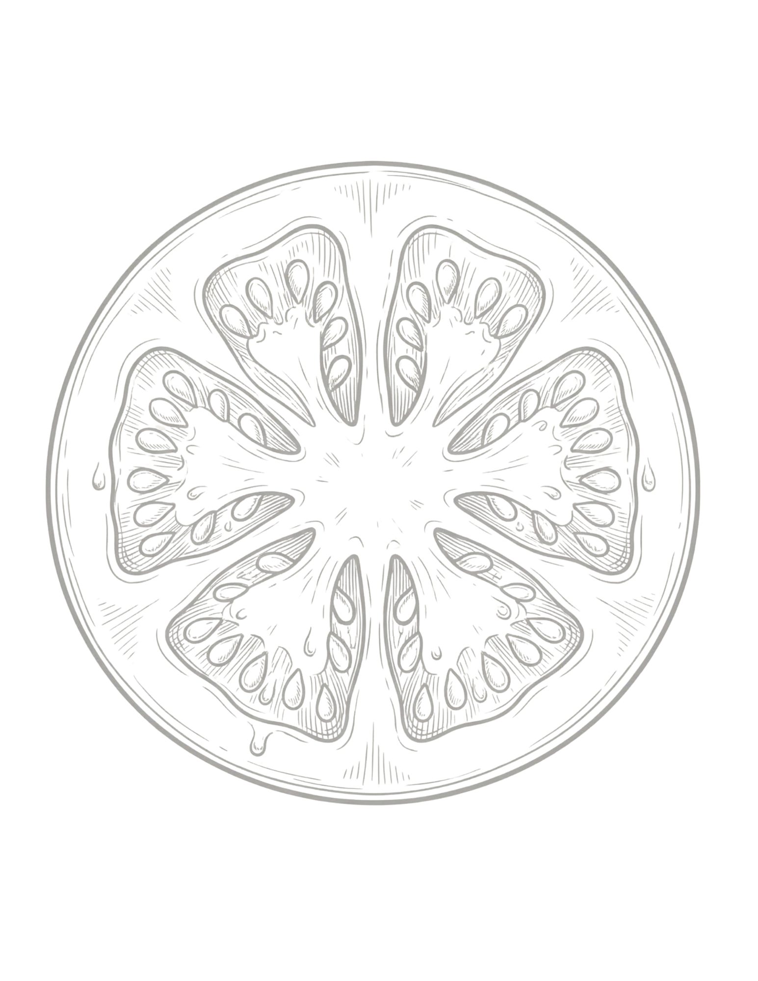 Black and white artistic illustration of a citrus fruit cross-section, resembling a lemon or lime, with detailed internal segments.