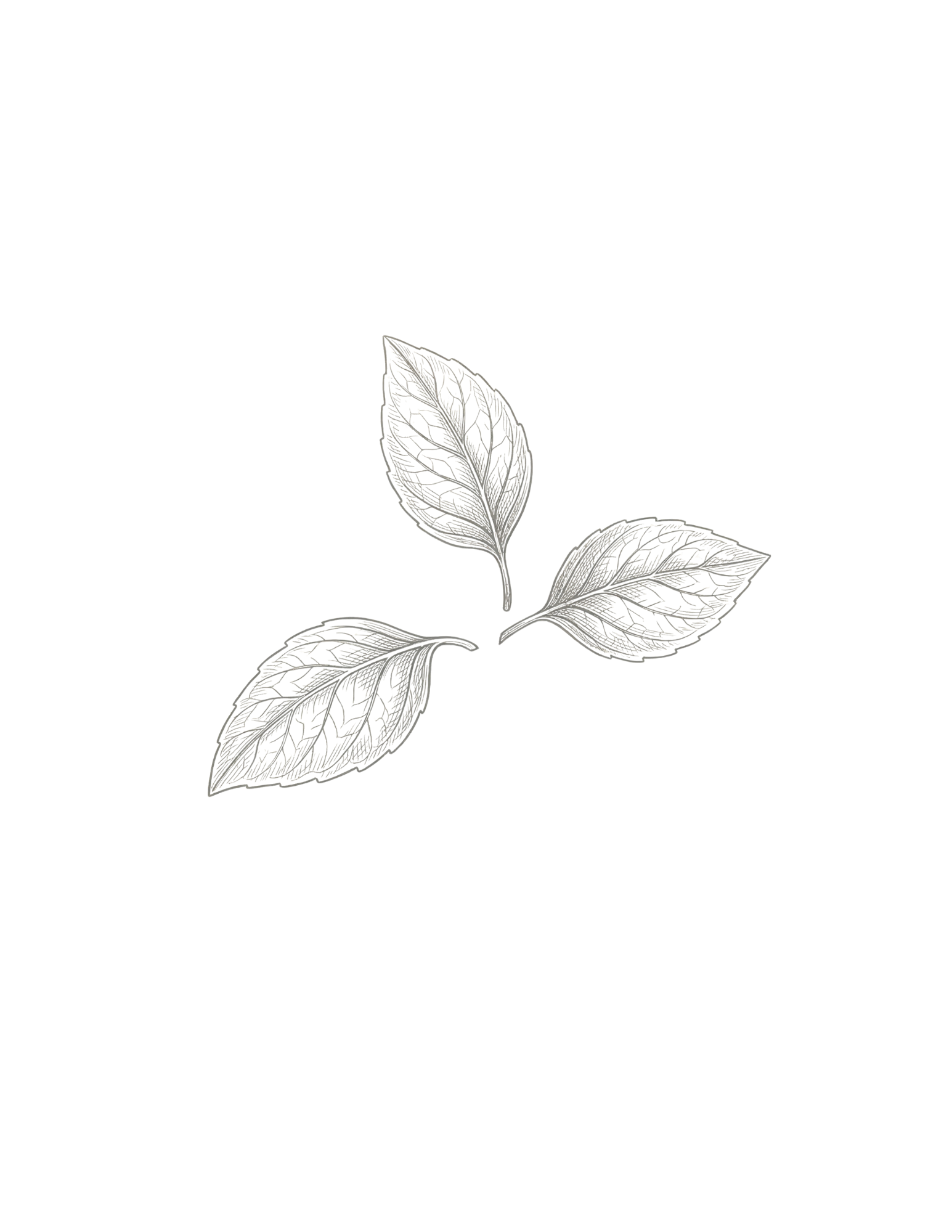 Three silver decorative leaves with intricate vein patterns on a black background.