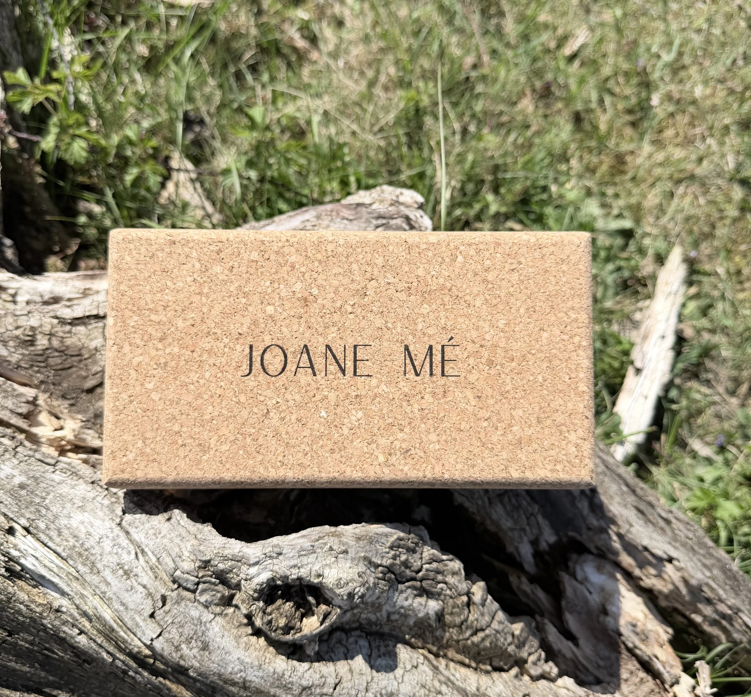 Grote stuk durfhout met een naamplaatje erop dat zegt 'Joane Mé', rustend op een stuk hout in een groene tuin.