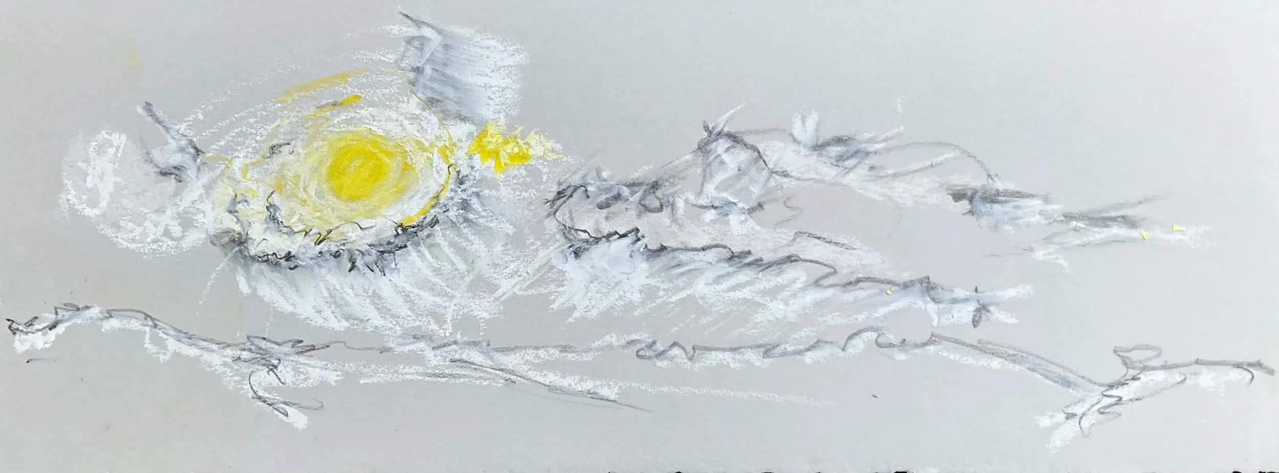 A child's drawing of a cat lying on a branch with the sun shining in the background, created with yellow, white, and black crayon or pastel.