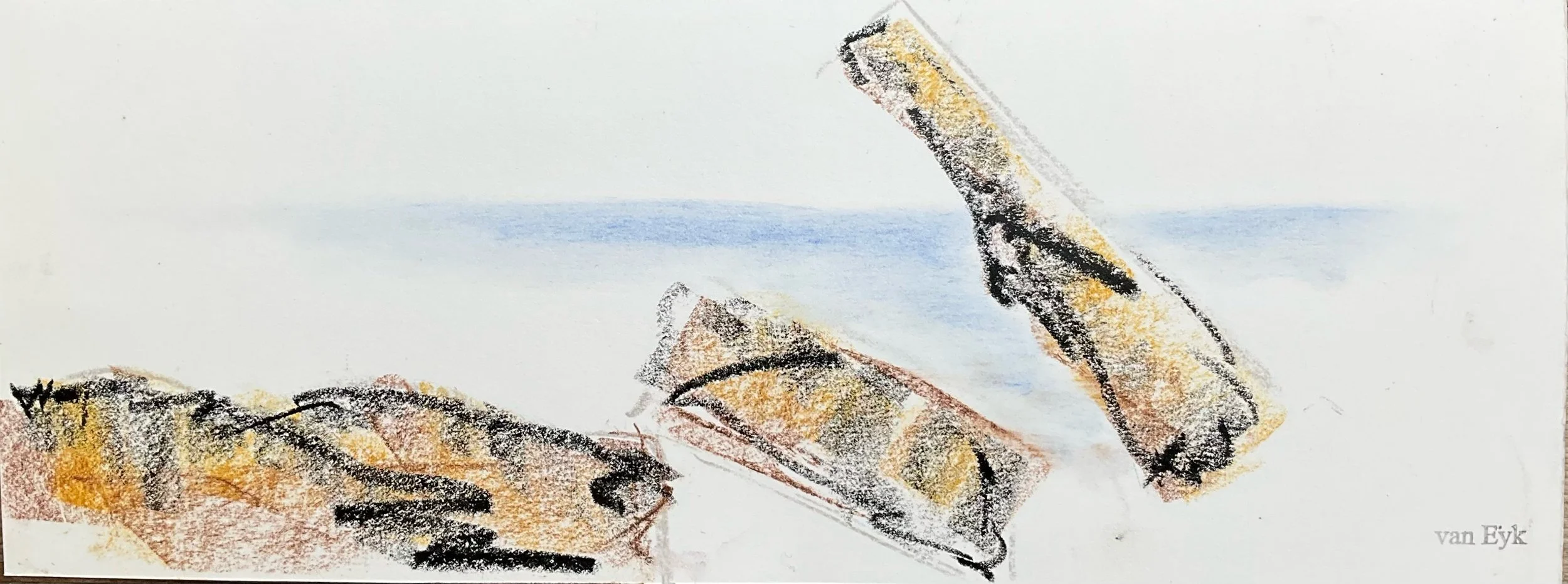 Colorful sketch of seashells on a white background with a blue line, signed by van Eyk.