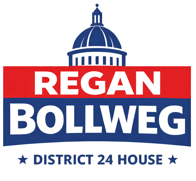 Regan Bollweg. District 24 House banner with a blue dome in the background.