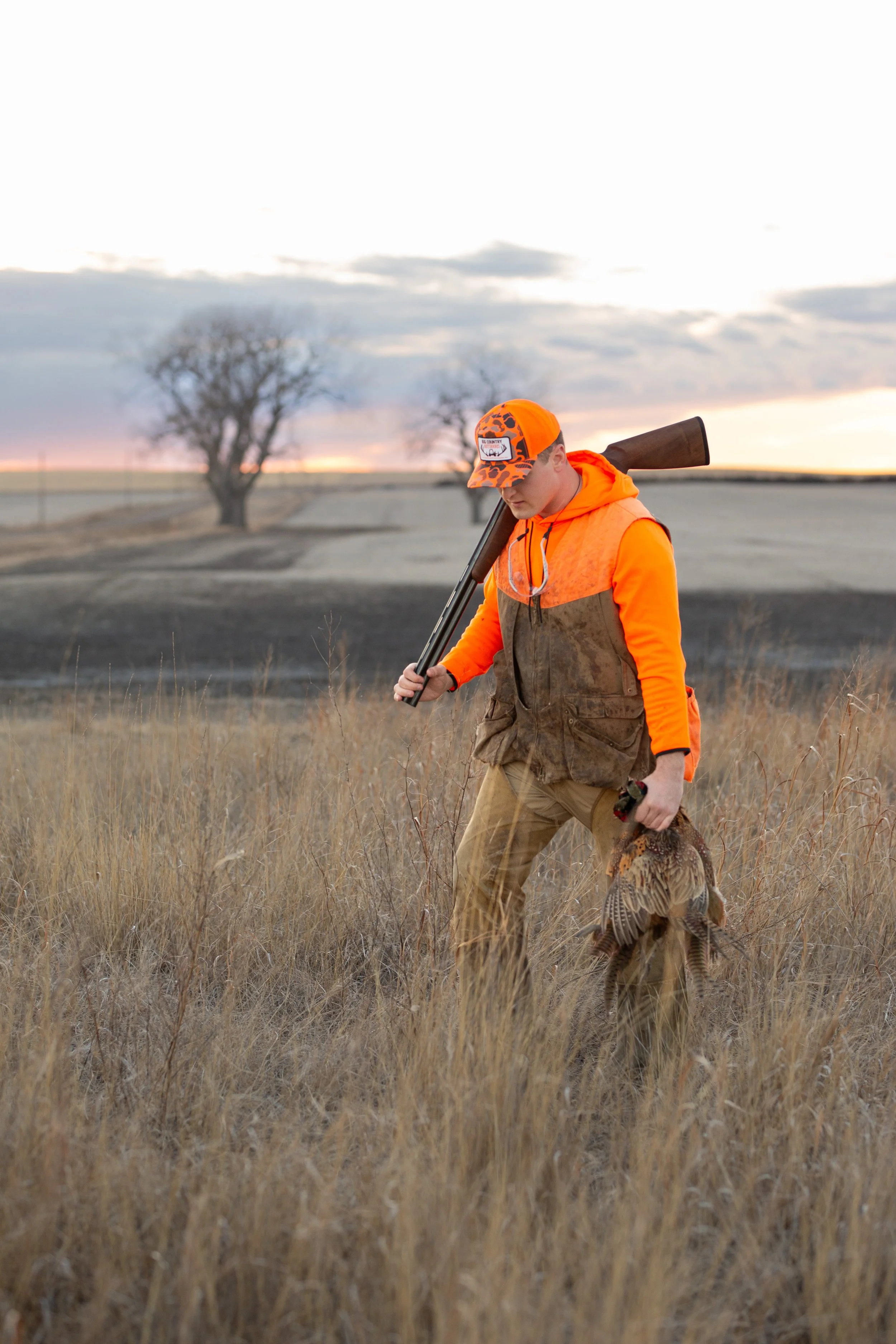 A person wearing orange camouflage hat and bright orange hoodie with a brown vest, walking through tall grass holding a shotgun on shoulder and carrying a pheasant in hand, during sunset in a rural field.